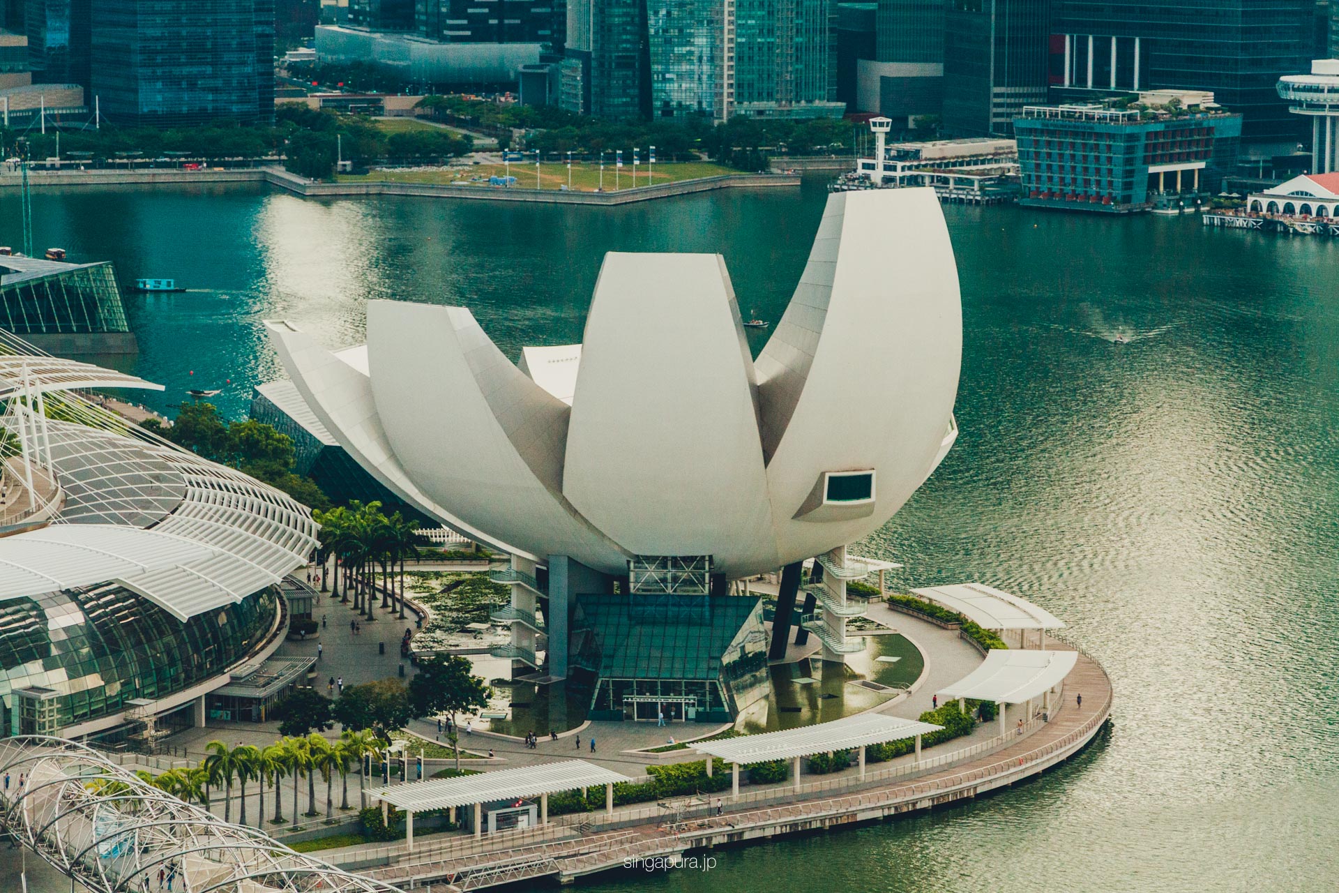 アート・サイエンス・ミュージアム Art Science Museum 画像1