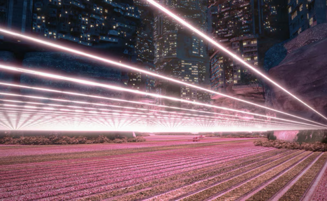 アート・サイエンス・ミュージアム Art Science Museum 画像9