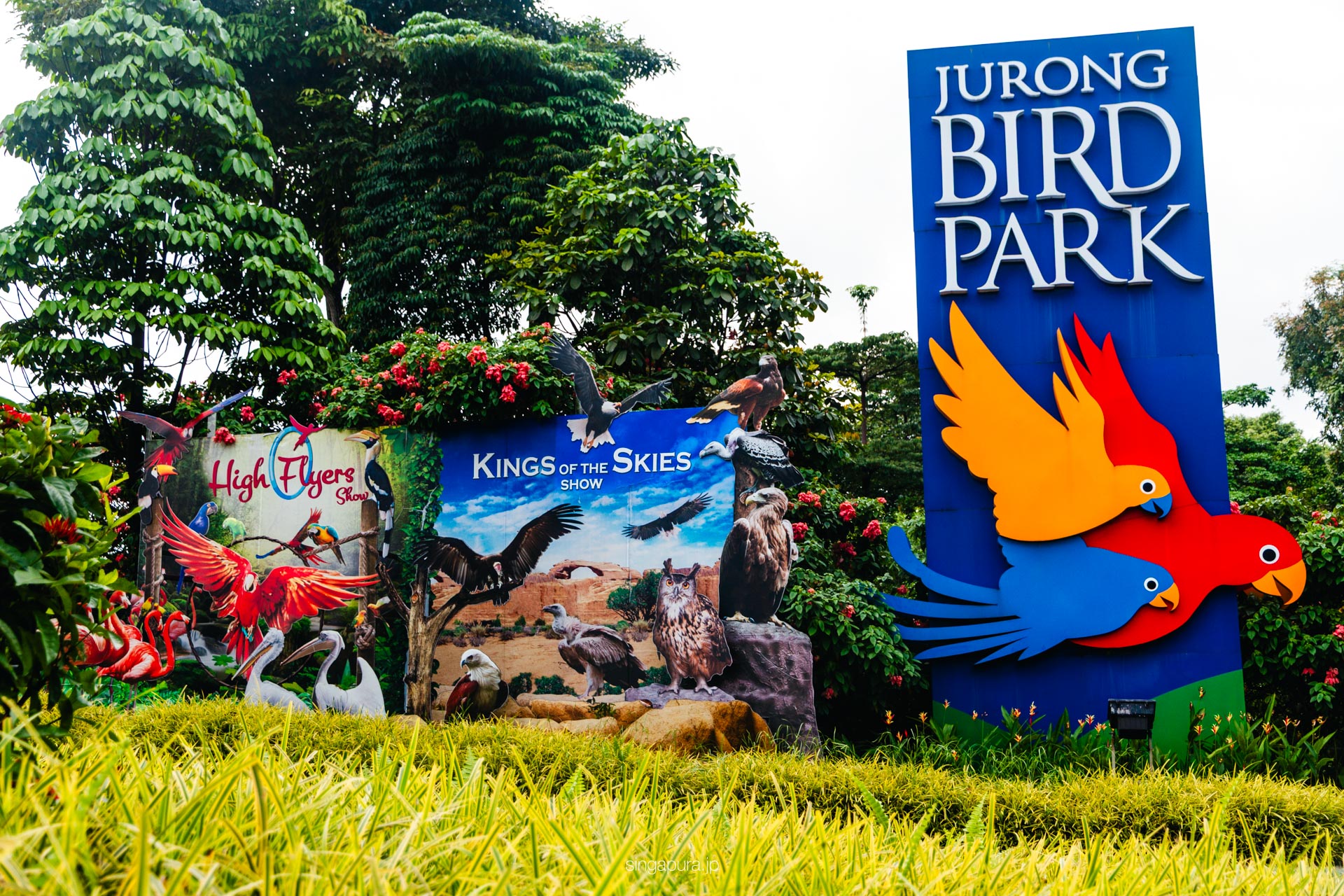 バード・パラダイス Bird Paradise 画像10