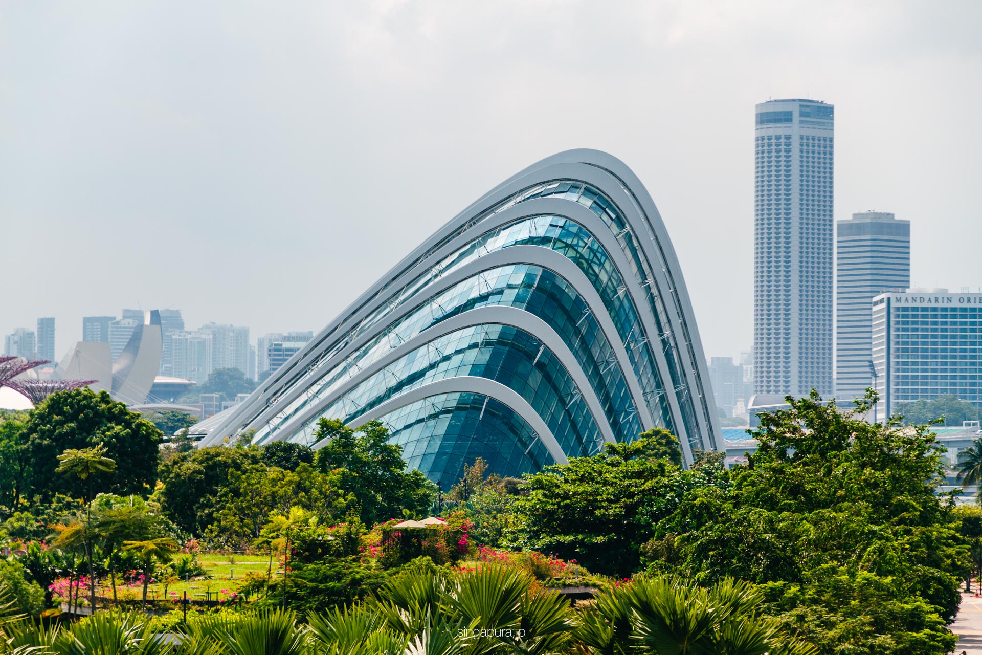 クラウド・フォレスト Cloud Forest 画像4