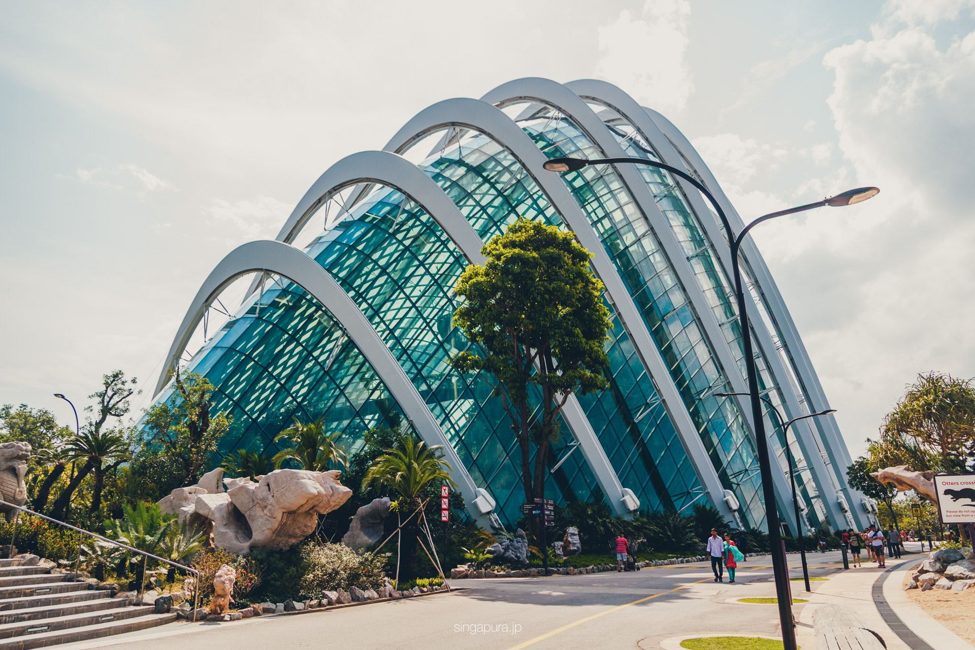 クラウド・フォレスト Cloud Forest 画像5