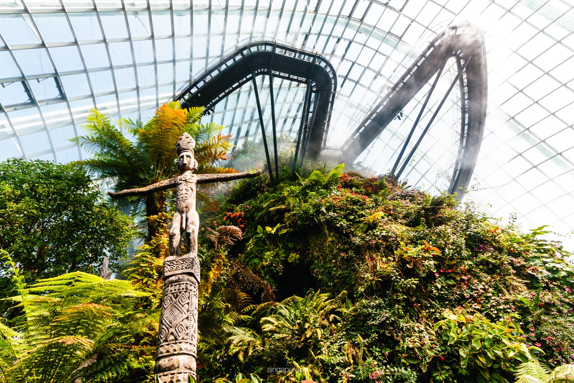 クラウド・フォレスト Cloud Forest 画像8