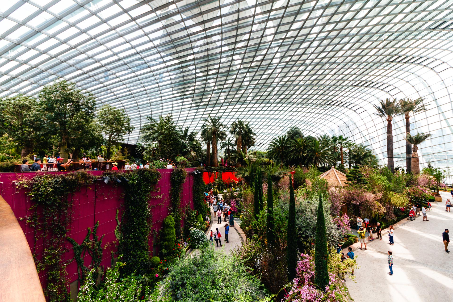 フラワー・ドーム Flower Dome 画像1