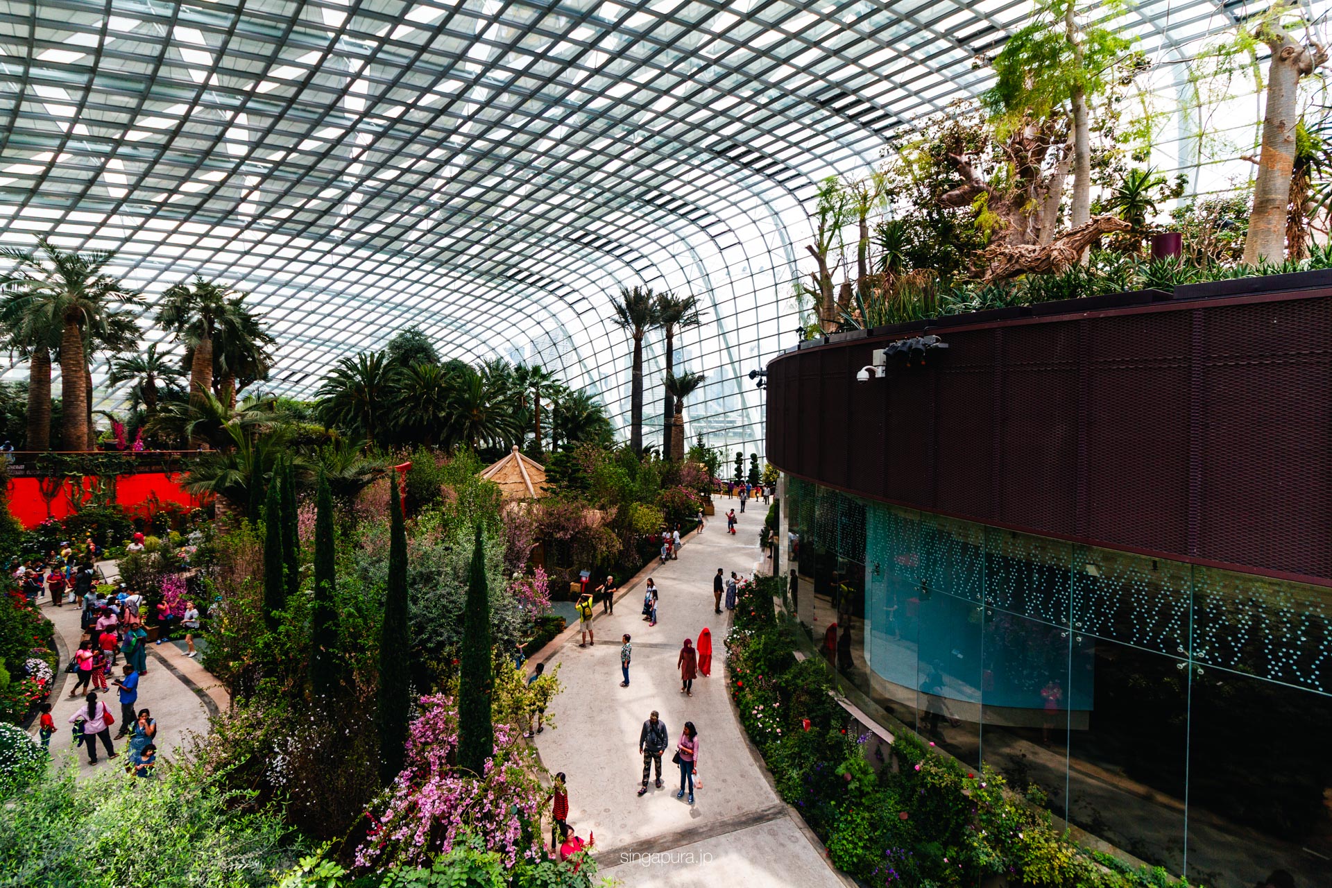 フラワー・ドーム Flower Dome 画像2