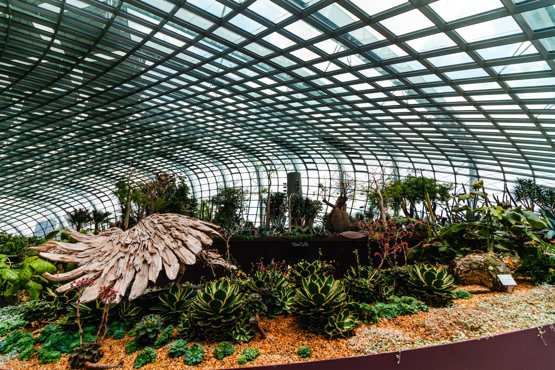 フラワー・ドーム Flower Dome 画像3