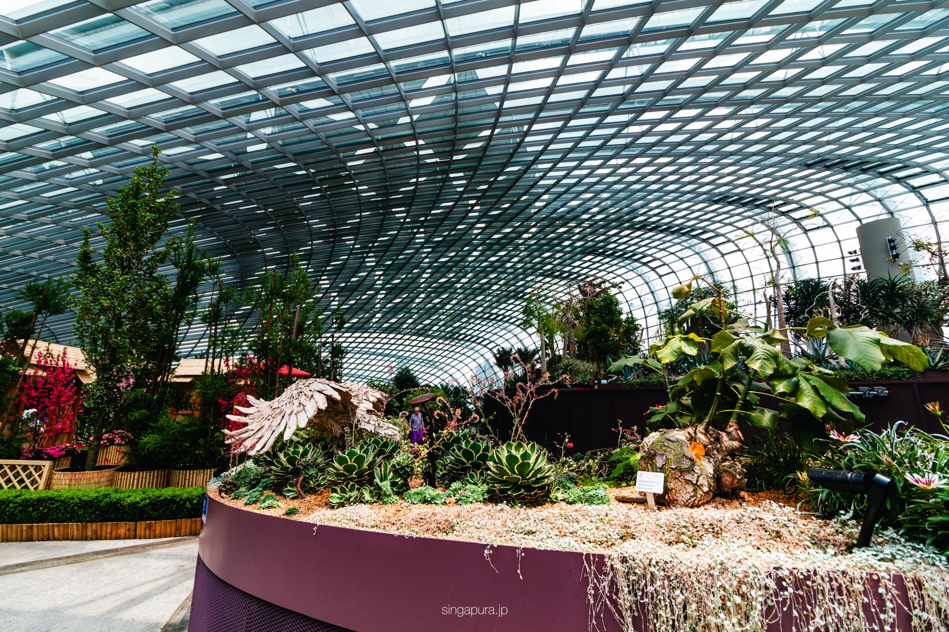 フラワー・ドーム Flower Dome 画像4