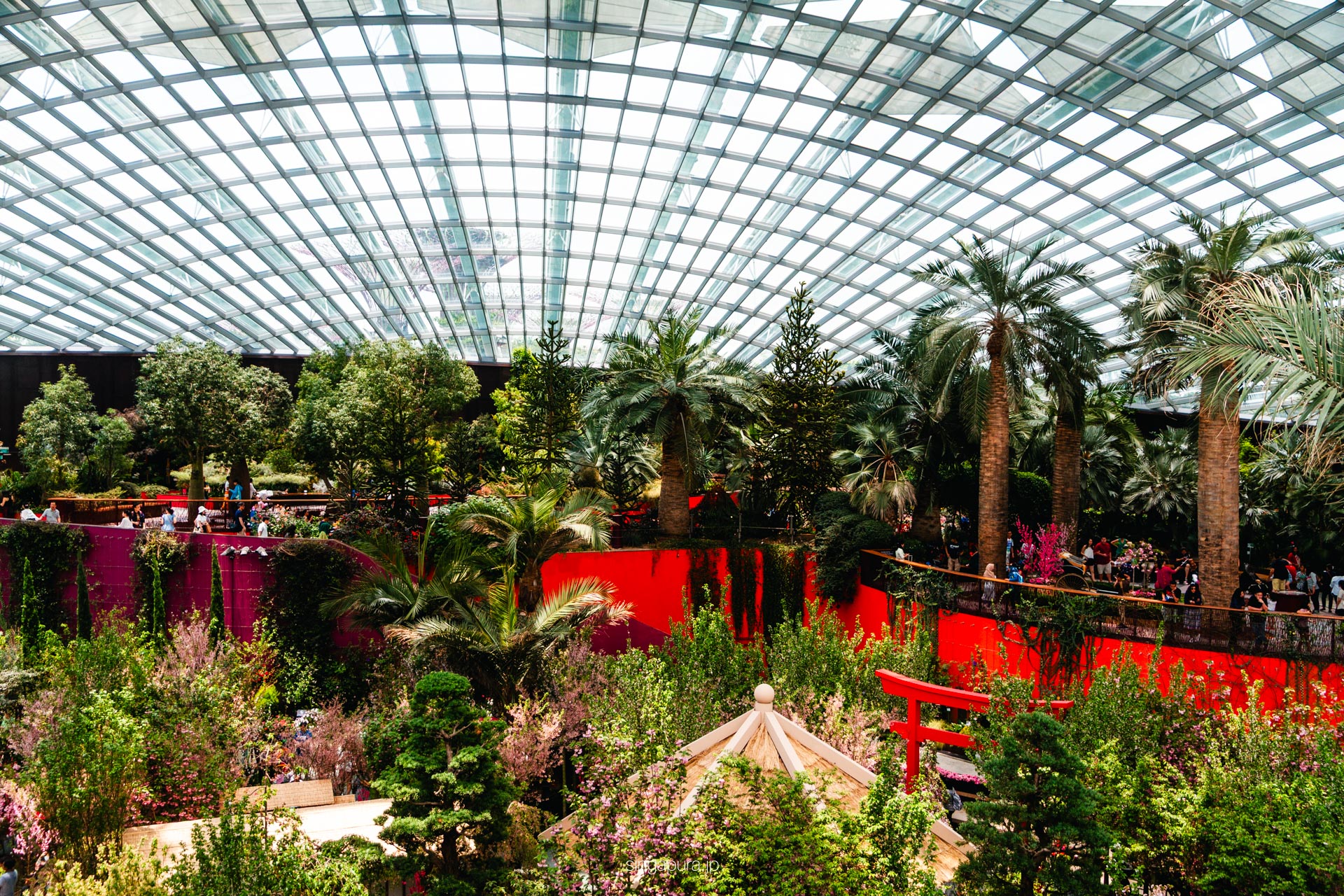 フラワー・ドーム Flower Dome 画像8