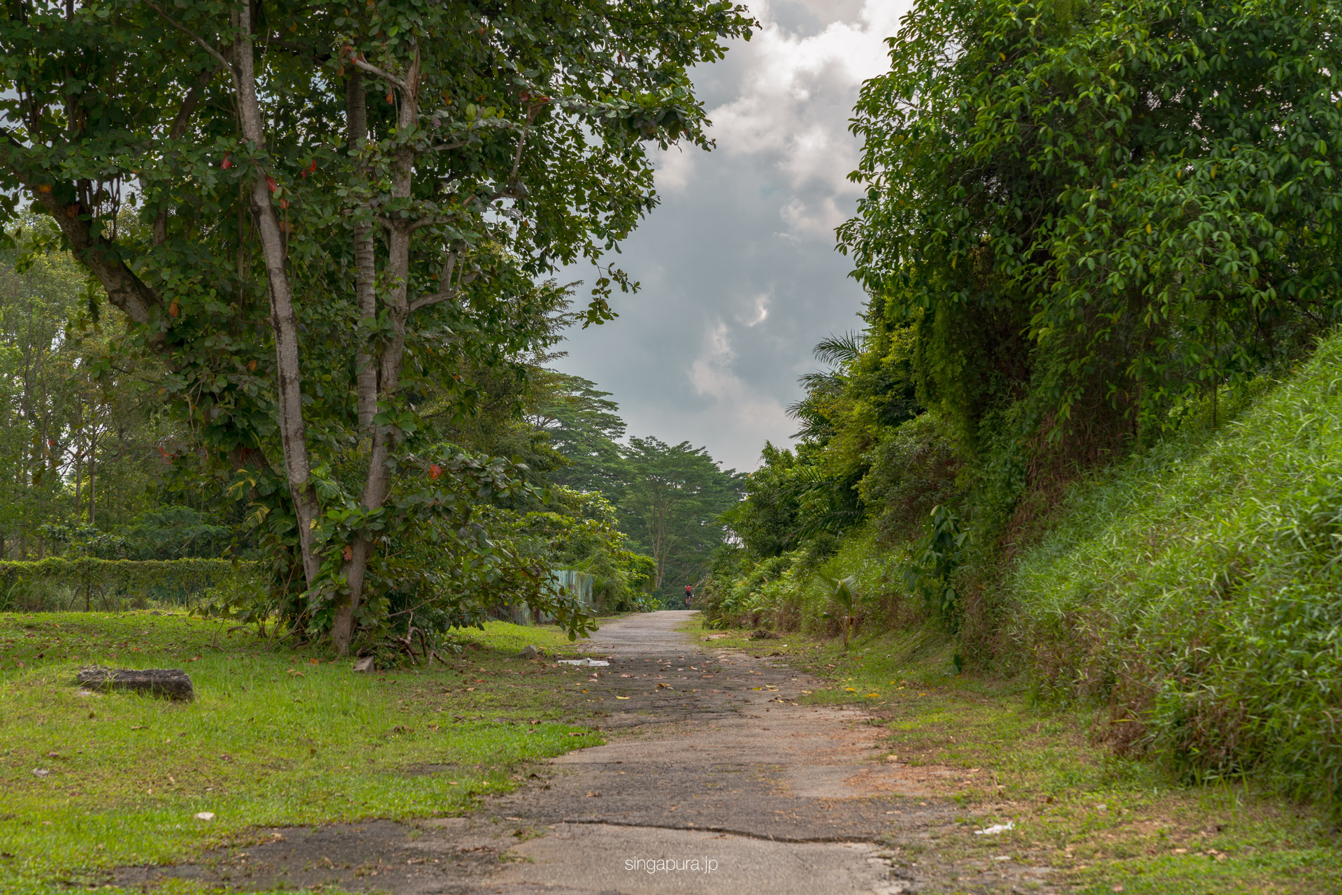 タンジョンパガー駅 Former Tanjong Pagar Railway Station 画像6
