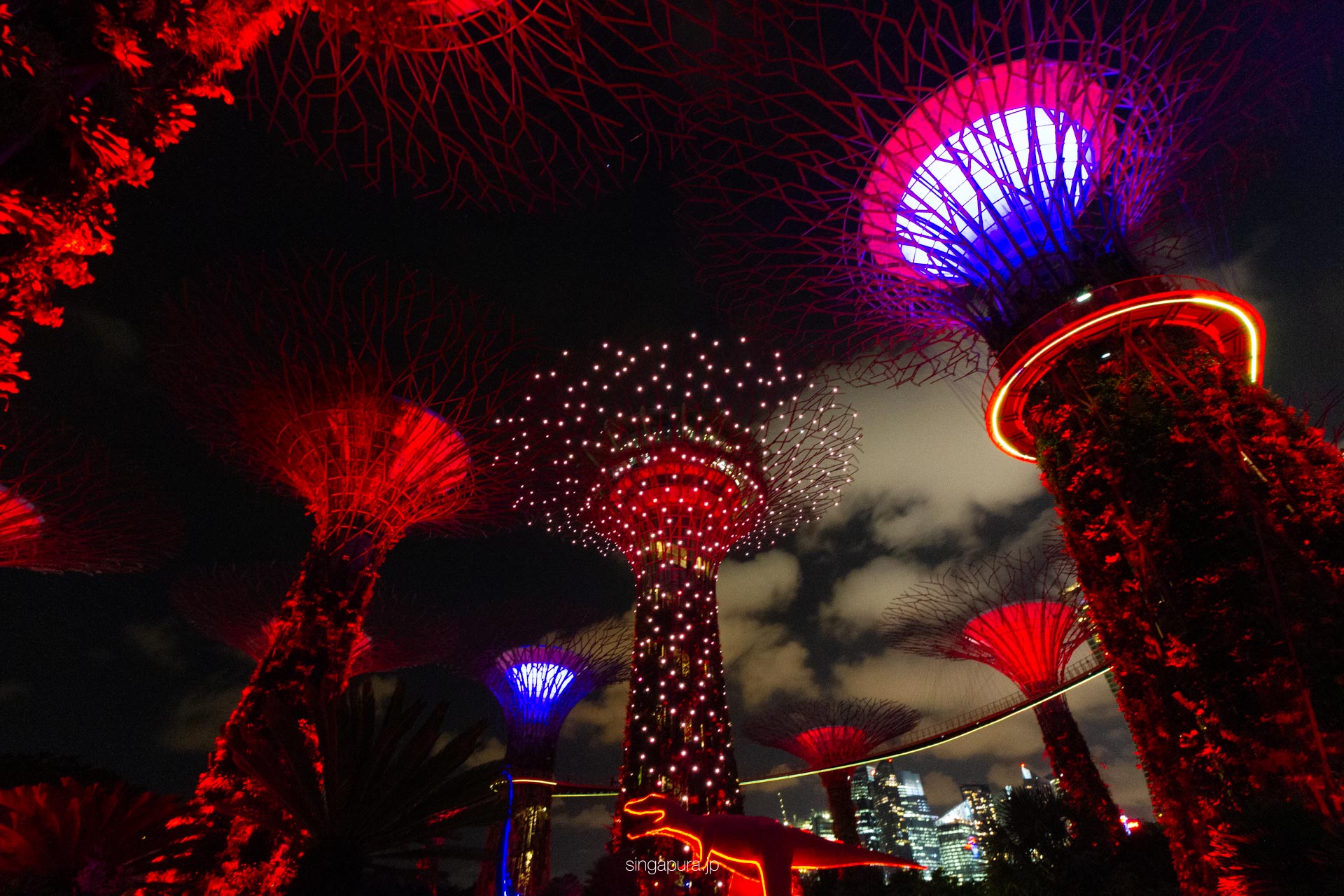 ガーデン・ラプソディー Garden Rhapsody 画像3