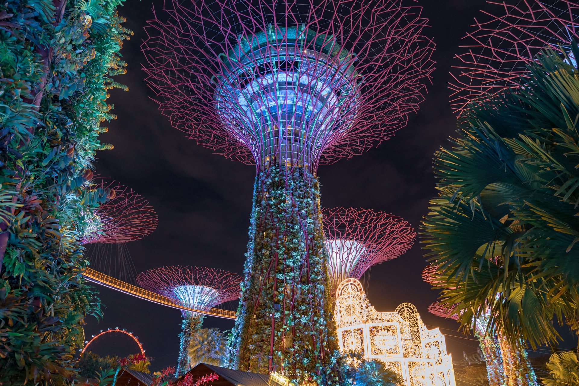 ガーデンズ・バイ・ザ・ベイ Gardens by the Bay 画像1