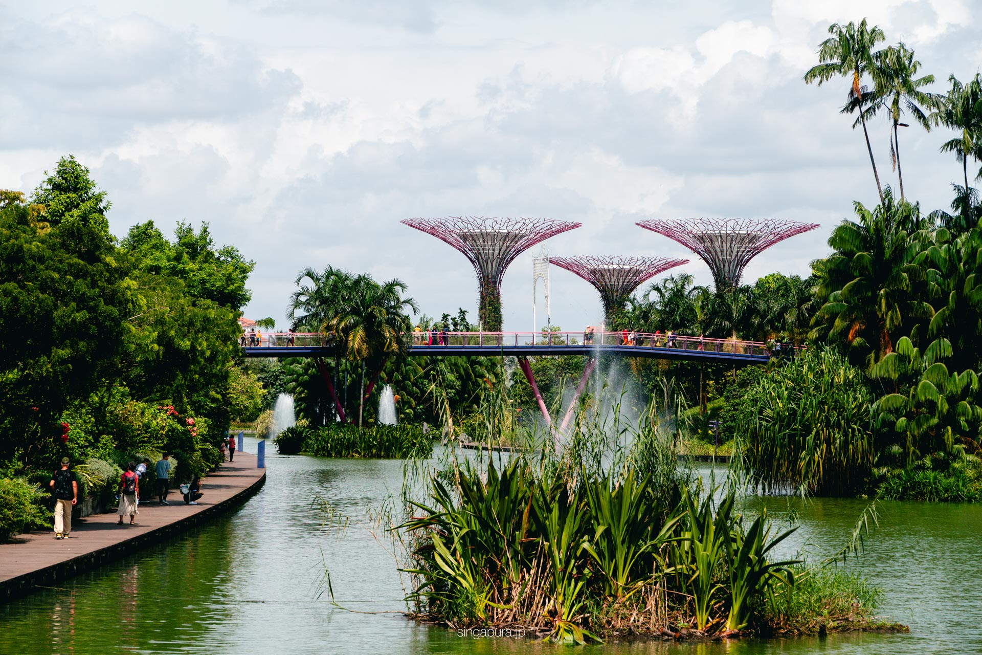 ガーデンズ・バイ・ザ・ベイ Gardens by the Bay 画像2