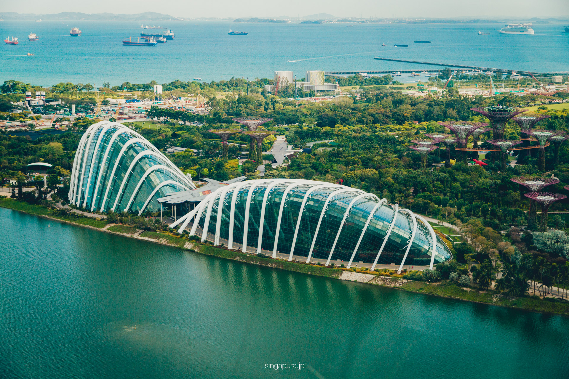 ガーデンズ・バイ・ザ・ベイ Gardens by the Bay 画像3