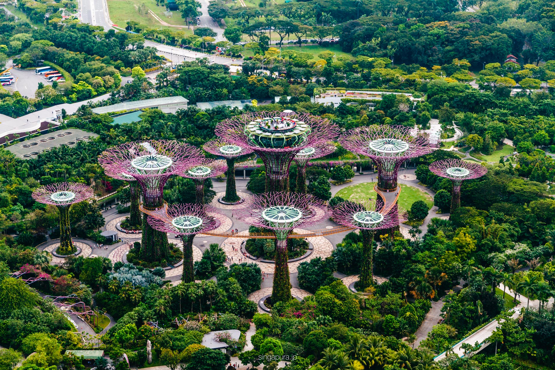 ガーデンズ・バイ・ザ・ベイ Gardens by the Bay 画像5