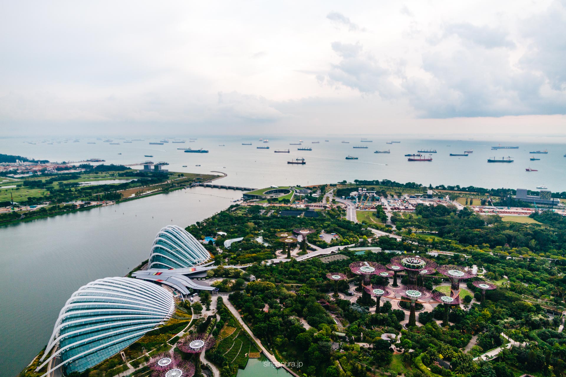 ガーデンズ・バイ・ザ・ベイ Gardens by the Bay 画像6