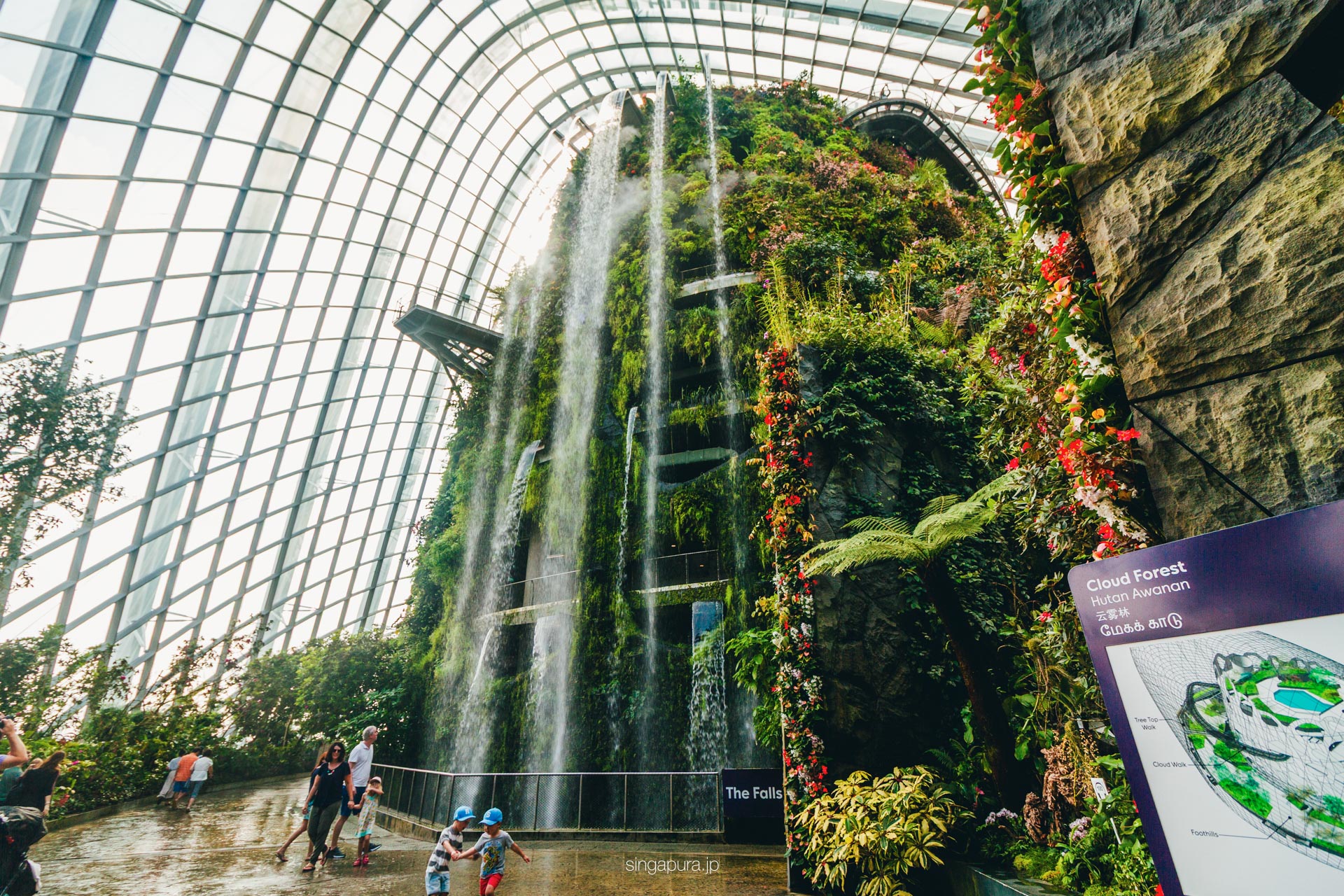 ガーデンズ・バイ・ザ・ベイ Gardens by the Bay 画像7