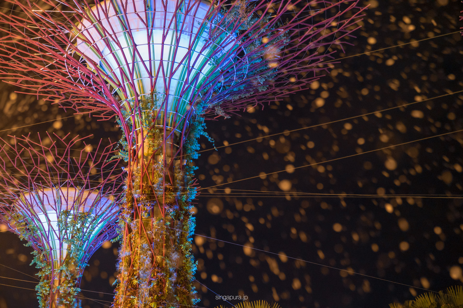ガーデンズ・バイ・ザ・ベイ Gardens by the Bay 画像10