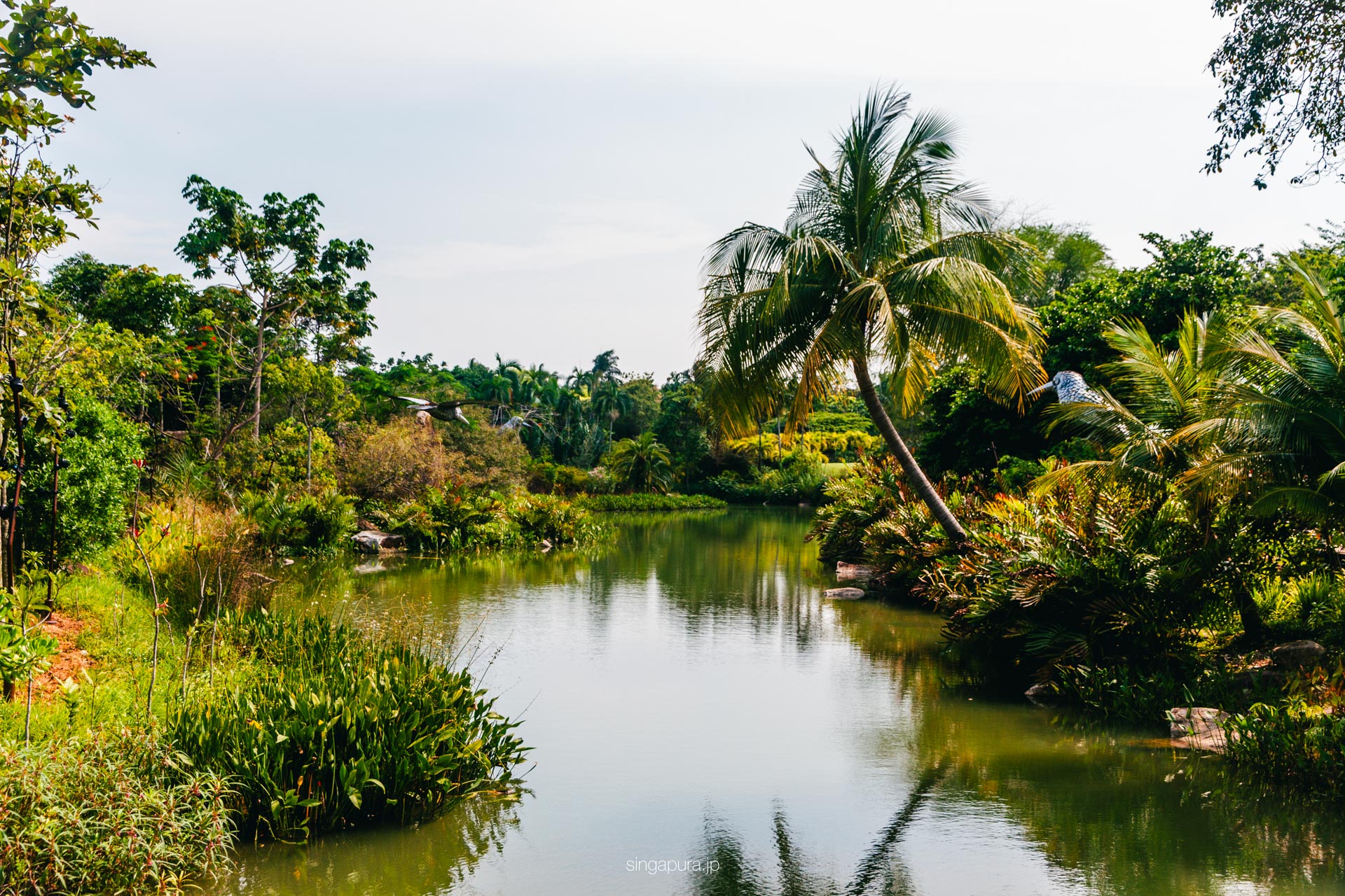 ガーデンズ・バイ・ザ・ベイ Gardens by the Bay 画像11