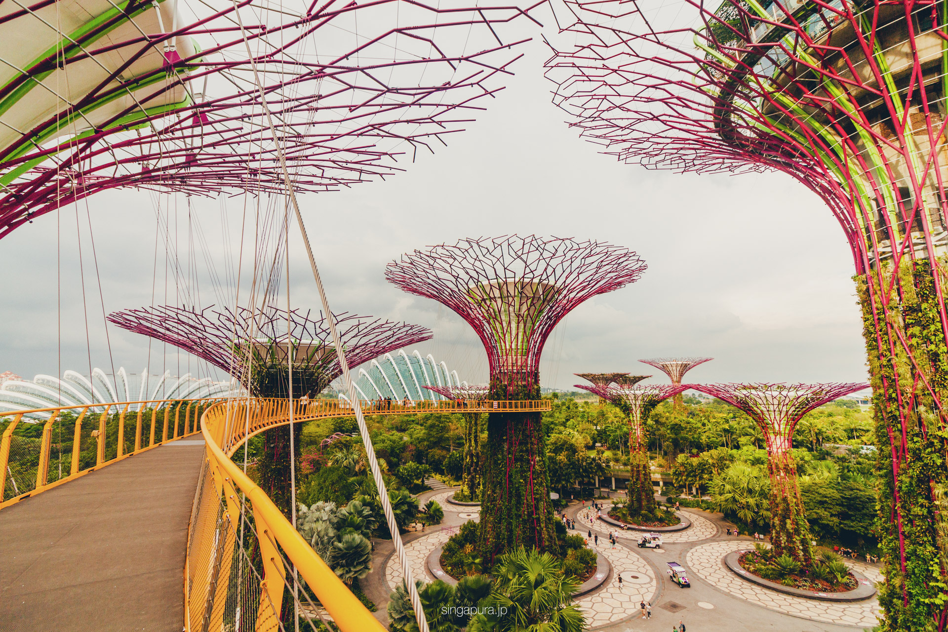 ガーデンズ・バイ・ザ・ベイ Gardens by the Bay 画像13