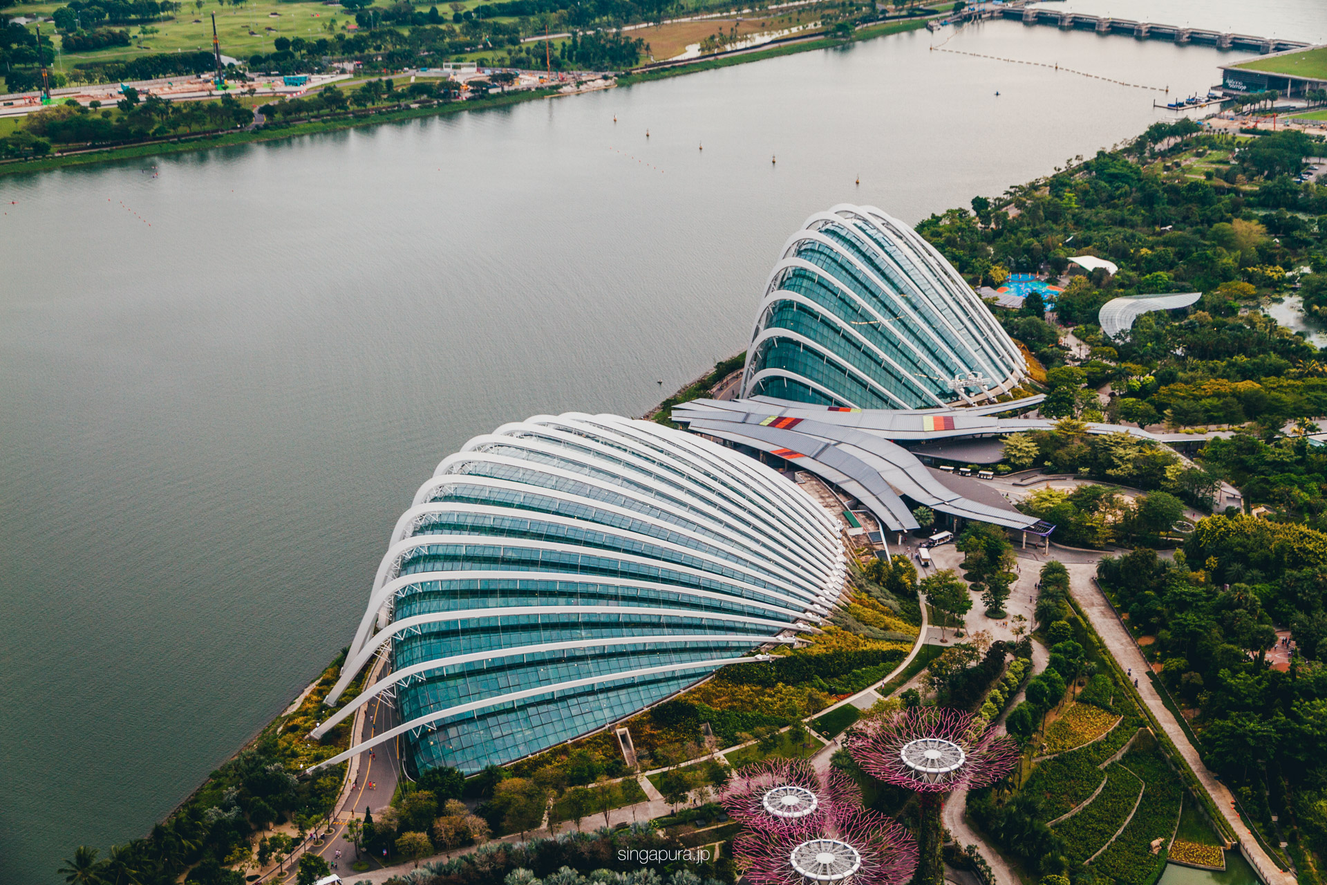 ガーデンズ・バイ・ザ・ベイ Gardens by the Bay 画像14