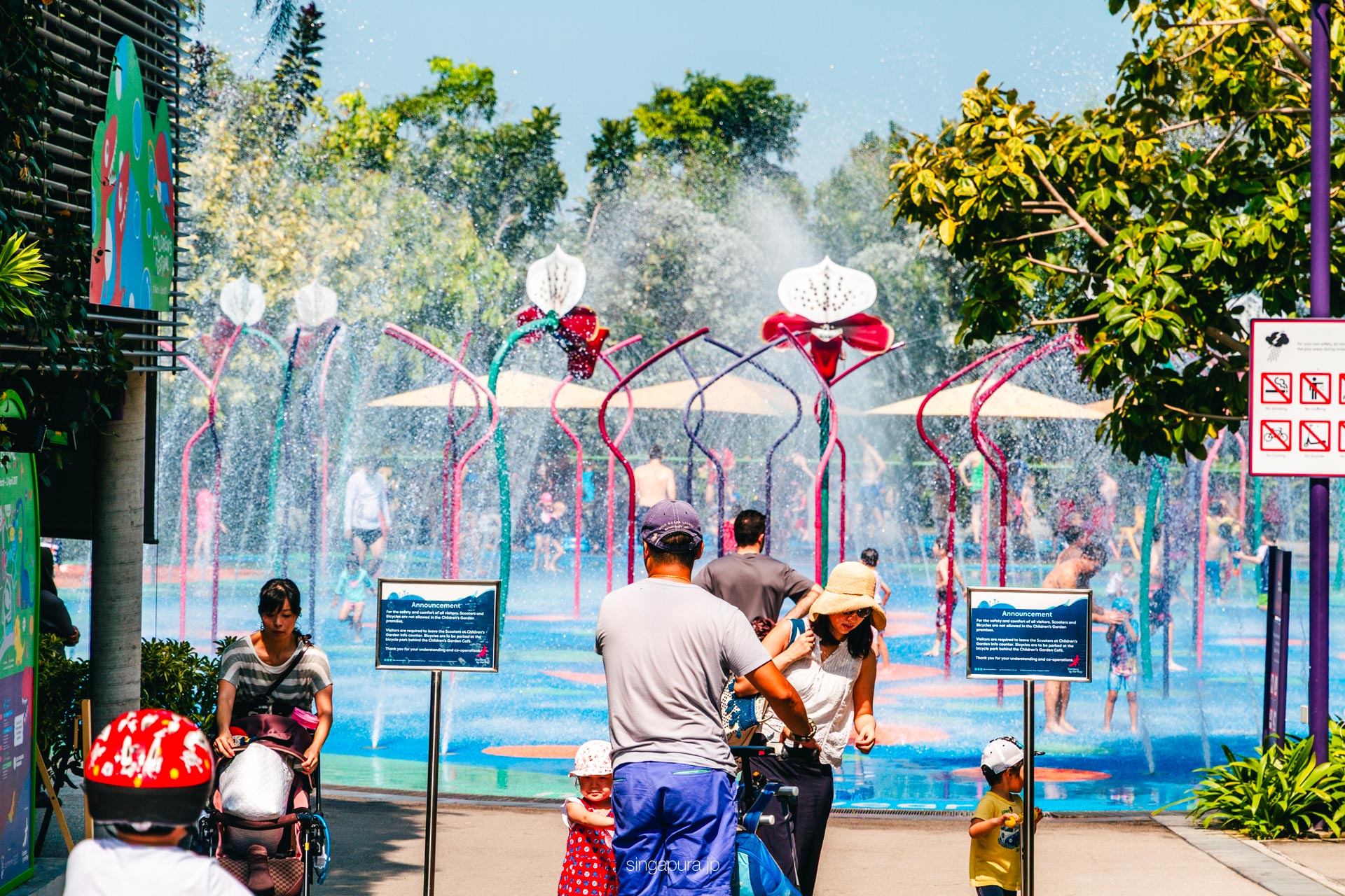 ガーデンズ・バイ・ザ・ベイ Gardens by the Bay 画像15