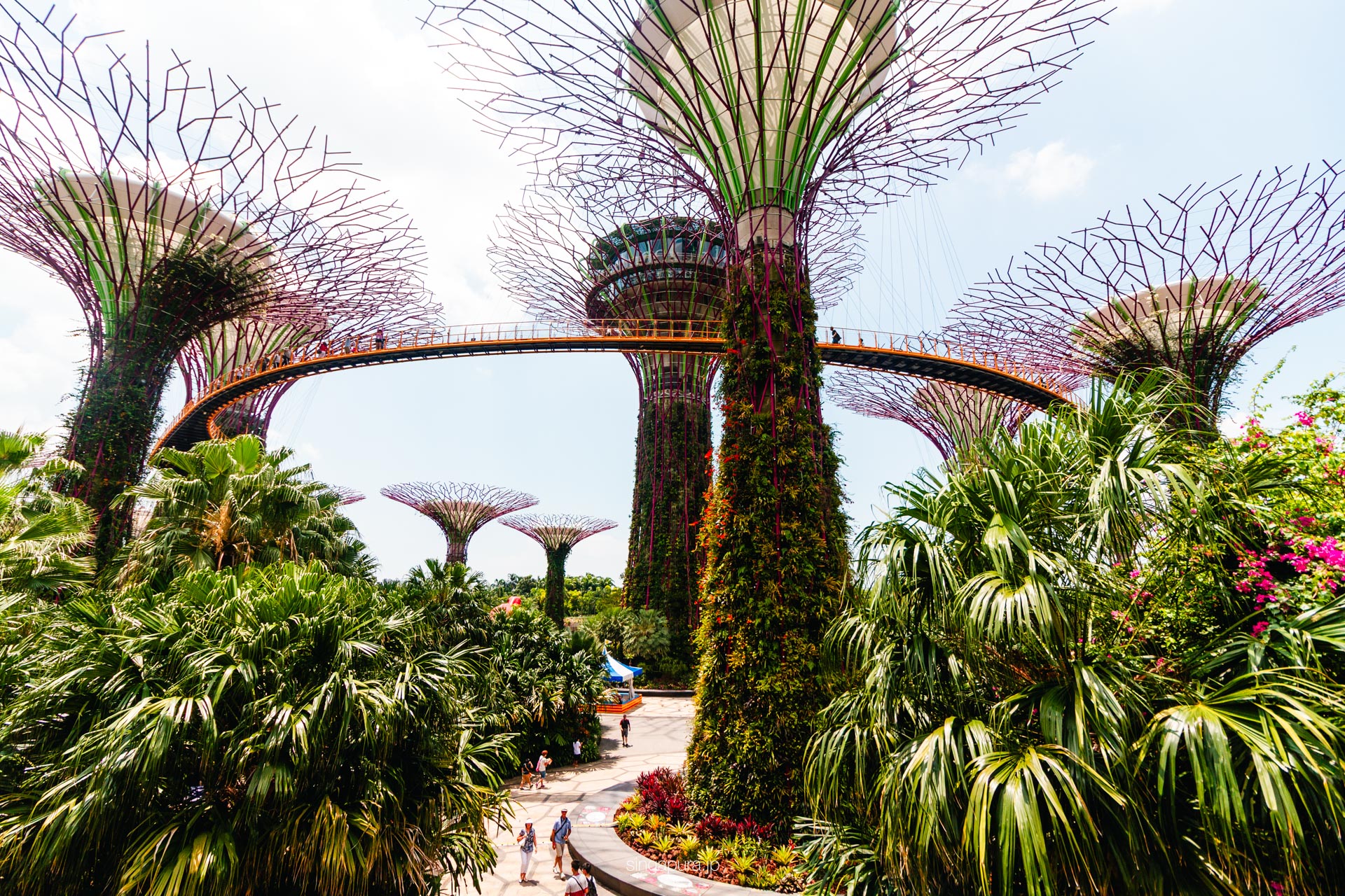 ガーデンズ・バイ・ザ・ベイ Gardens by the Bay 画像17