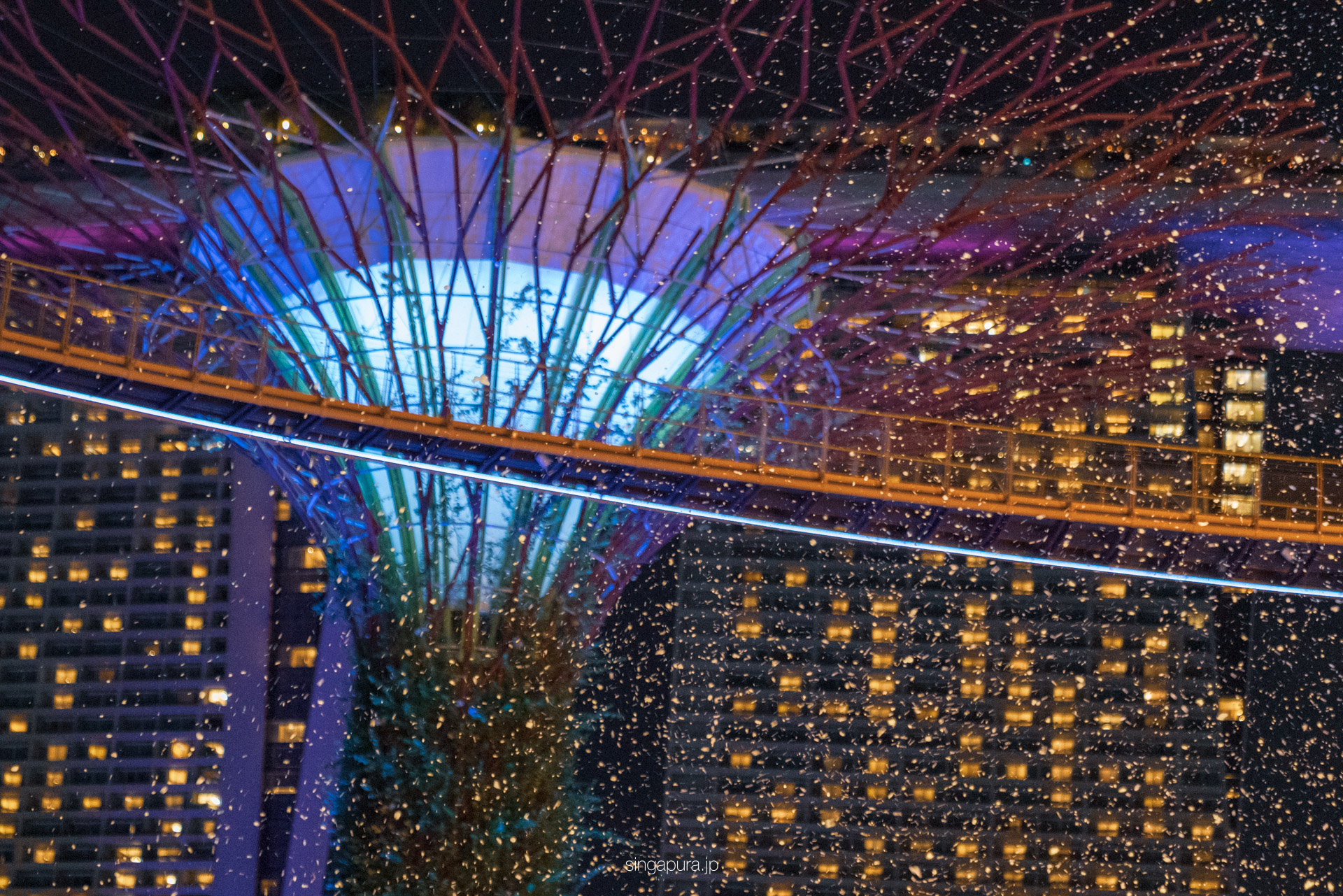 ガーデンズ・バイ・ザ・ベイ Gardens by the Bay 画像18