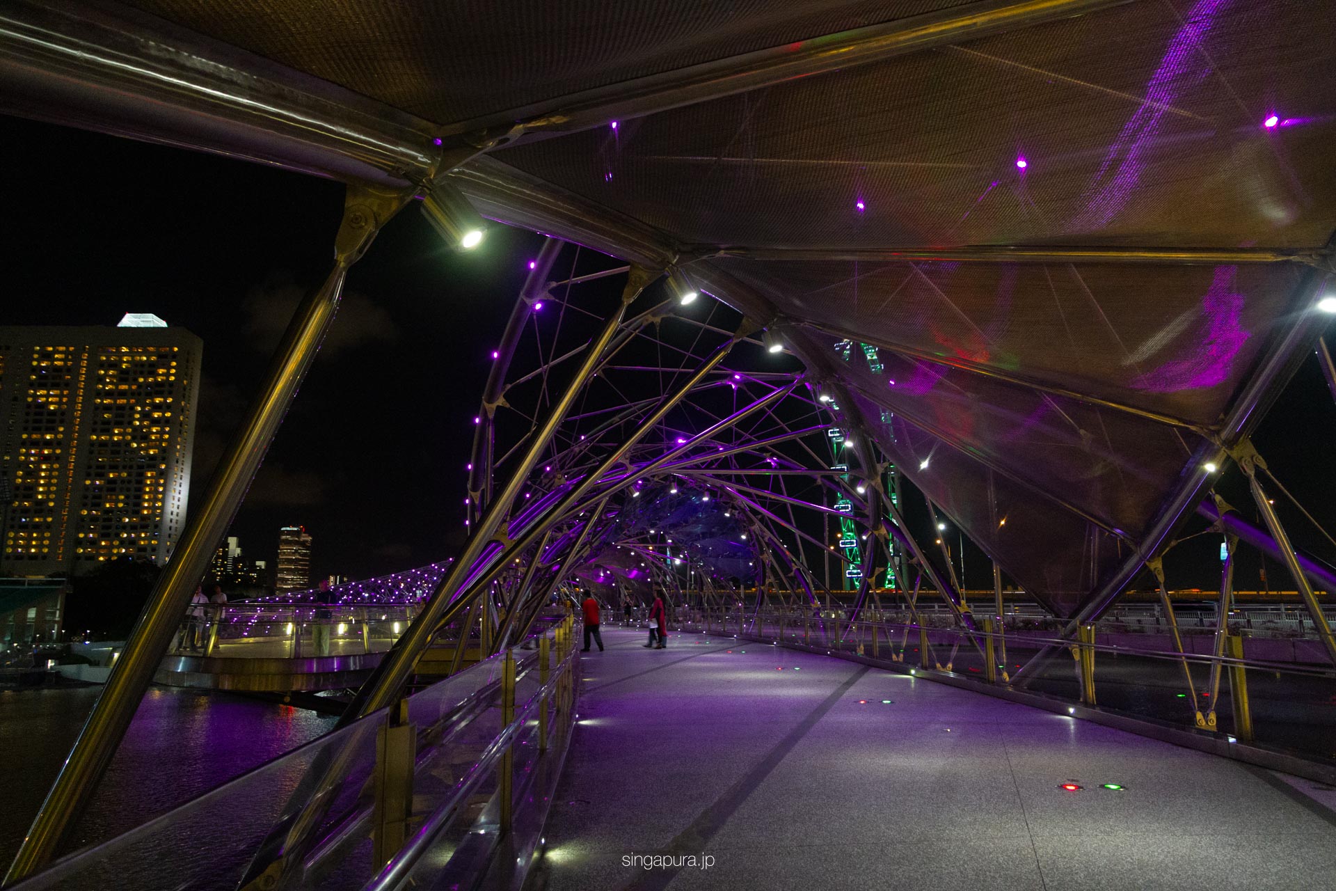 ヘリックス・ブリッジ Helix Bridge 画像2