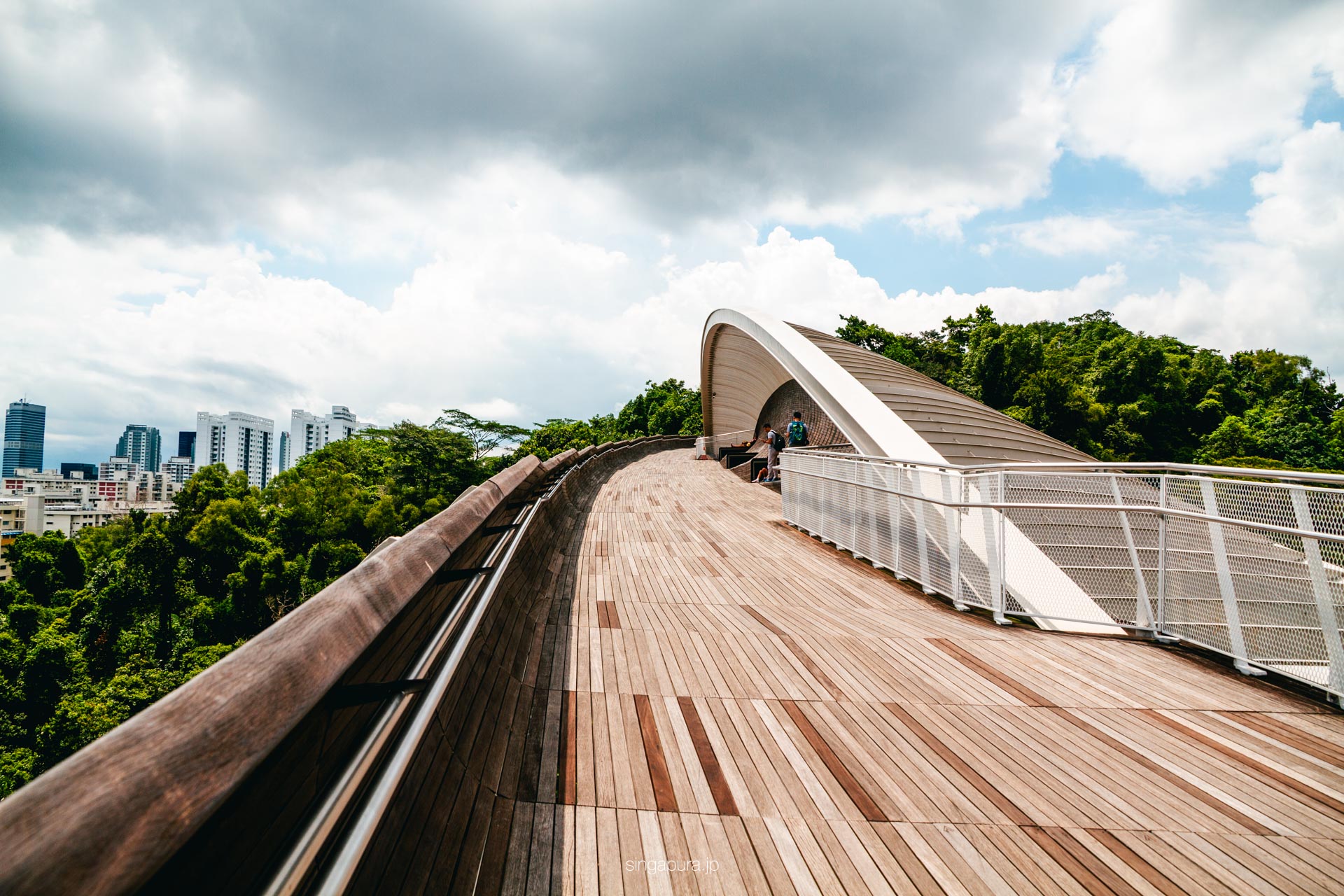 ヘンダーソン・ウェイブズ Henderson Waves 画像1