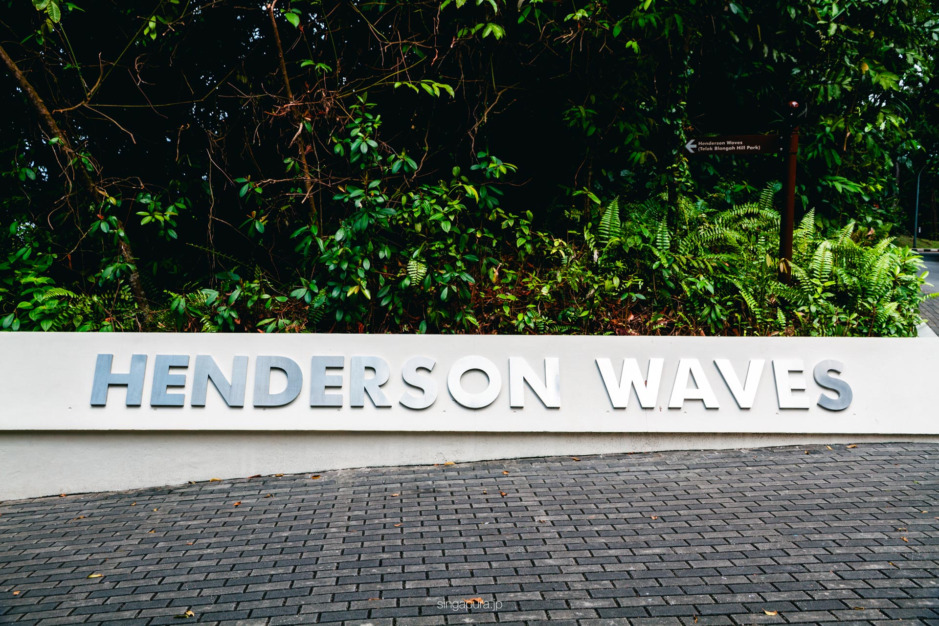 ヘンダーソン・ウェイブズ Henderson Waves 画像2