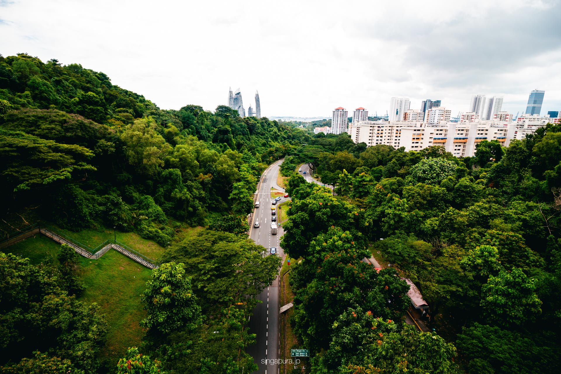 ヘンダーソン・ウェイブズ Henderson Waves 画像3