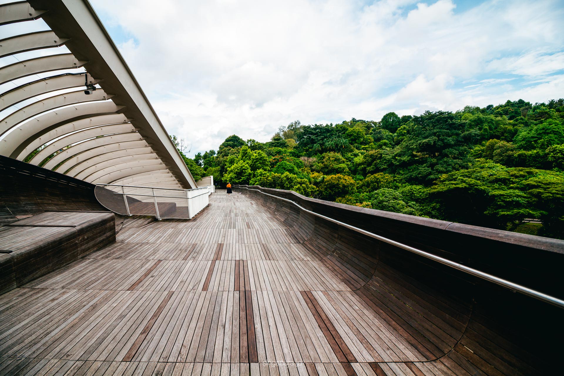 ヘンダーソン・ウェイブズ Henderson Waves 画像5