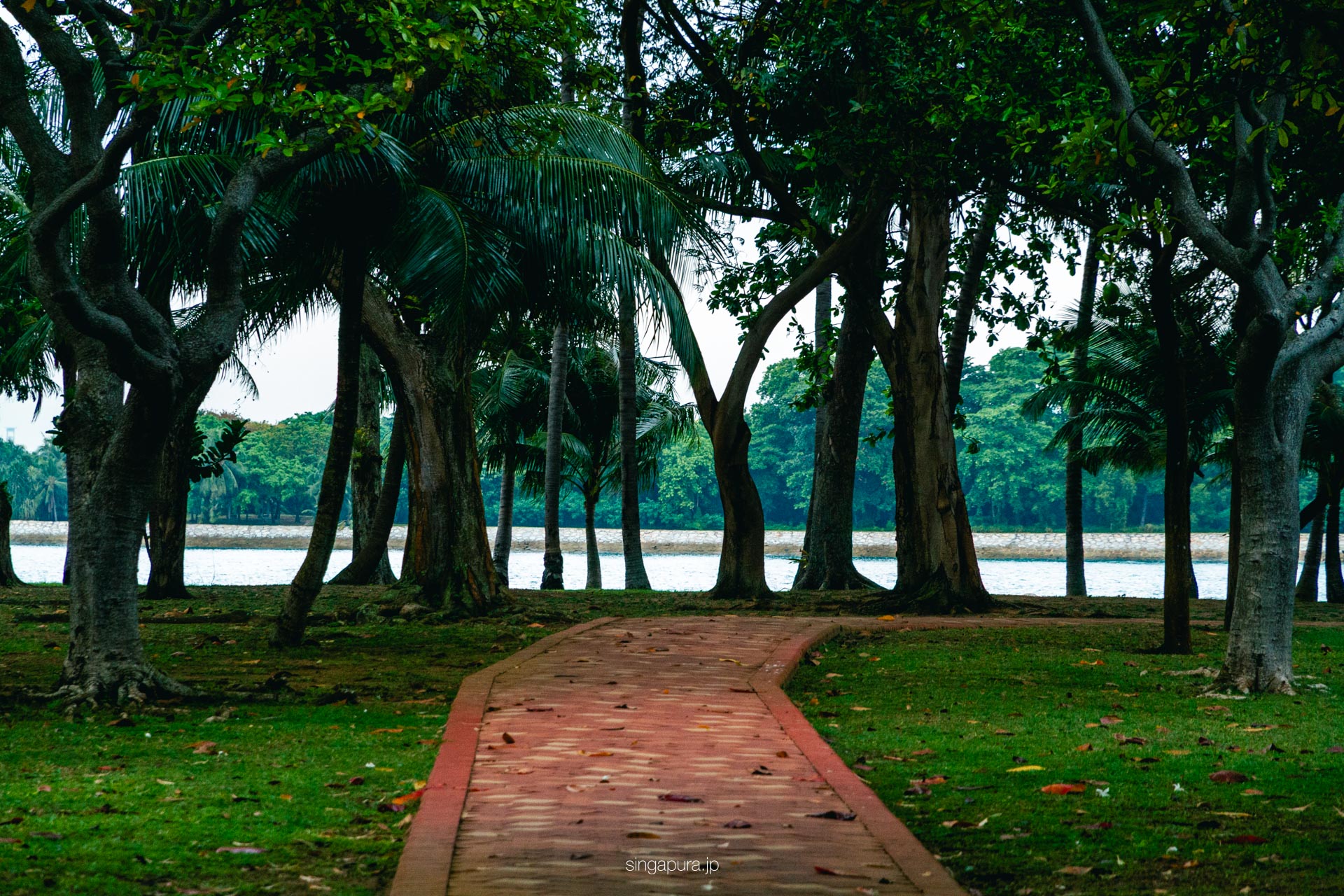 クス島 Kusu Island 画像12