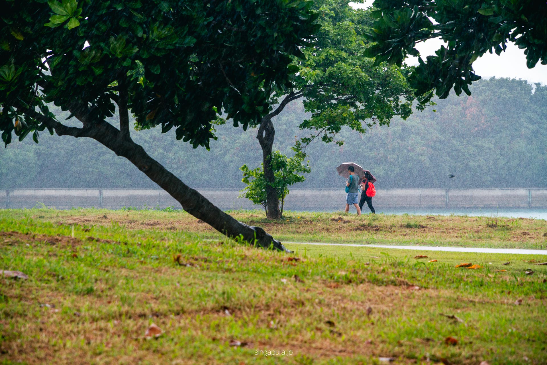 ラザロー島 Lazarus Island 画像3