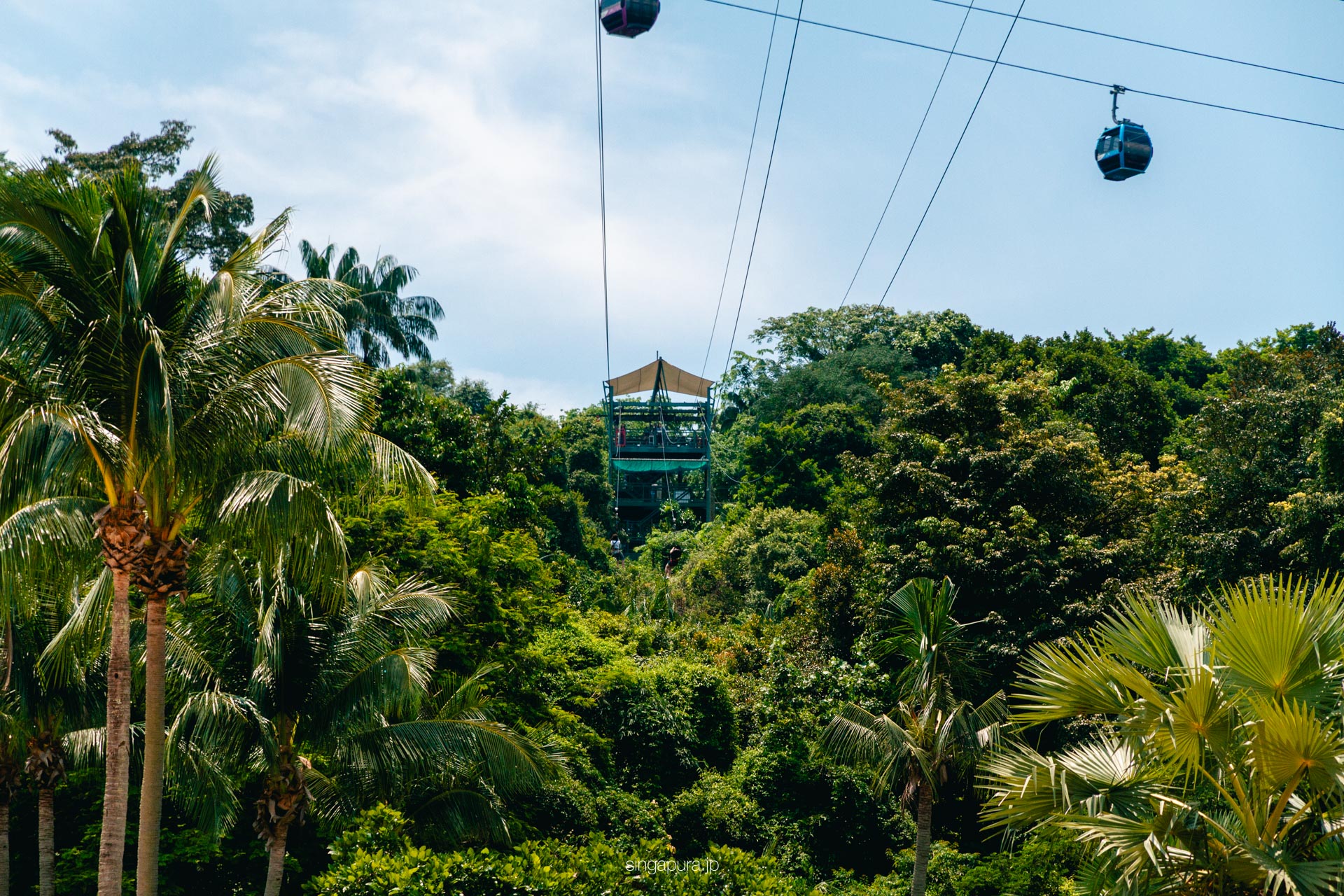メガ・アドベンチャーパーク セントーサ島でジップライン体験 Mega Adventure Sentosa 画像2