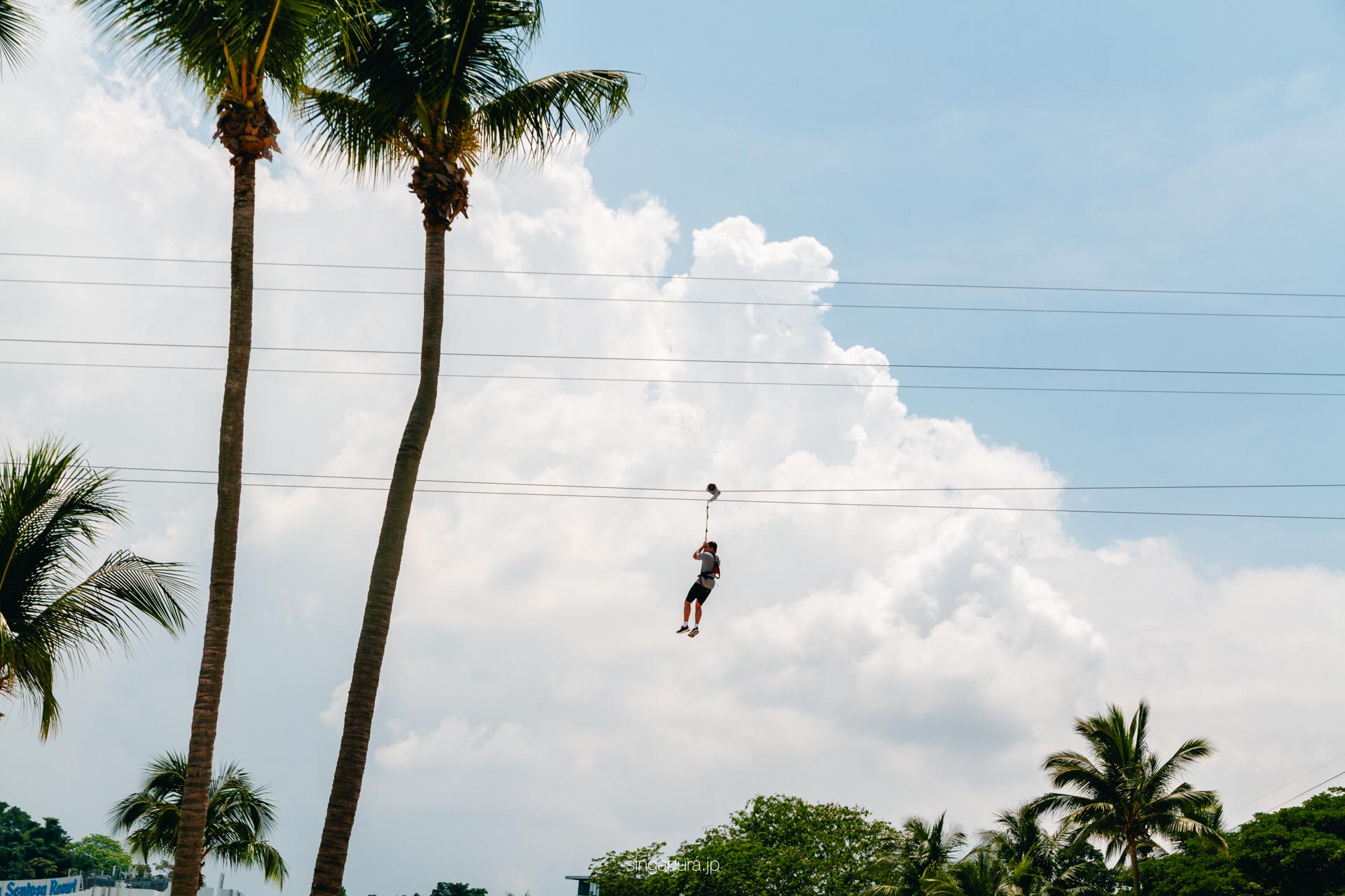メガ・アドベンチャーパーク セントーサ島でジップライン体験 Mega Adventure Sentosa 画像3