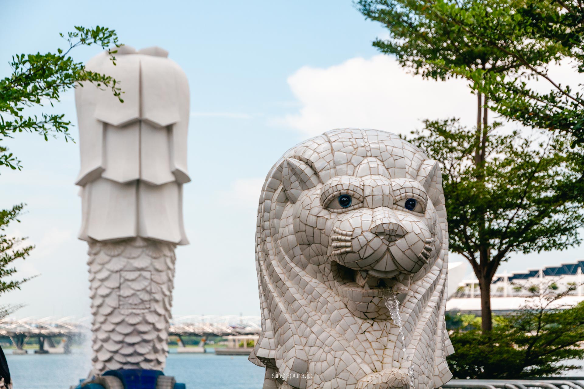 マーライオン・カブ（ミニマーライオン） Merlion Cub 画像2