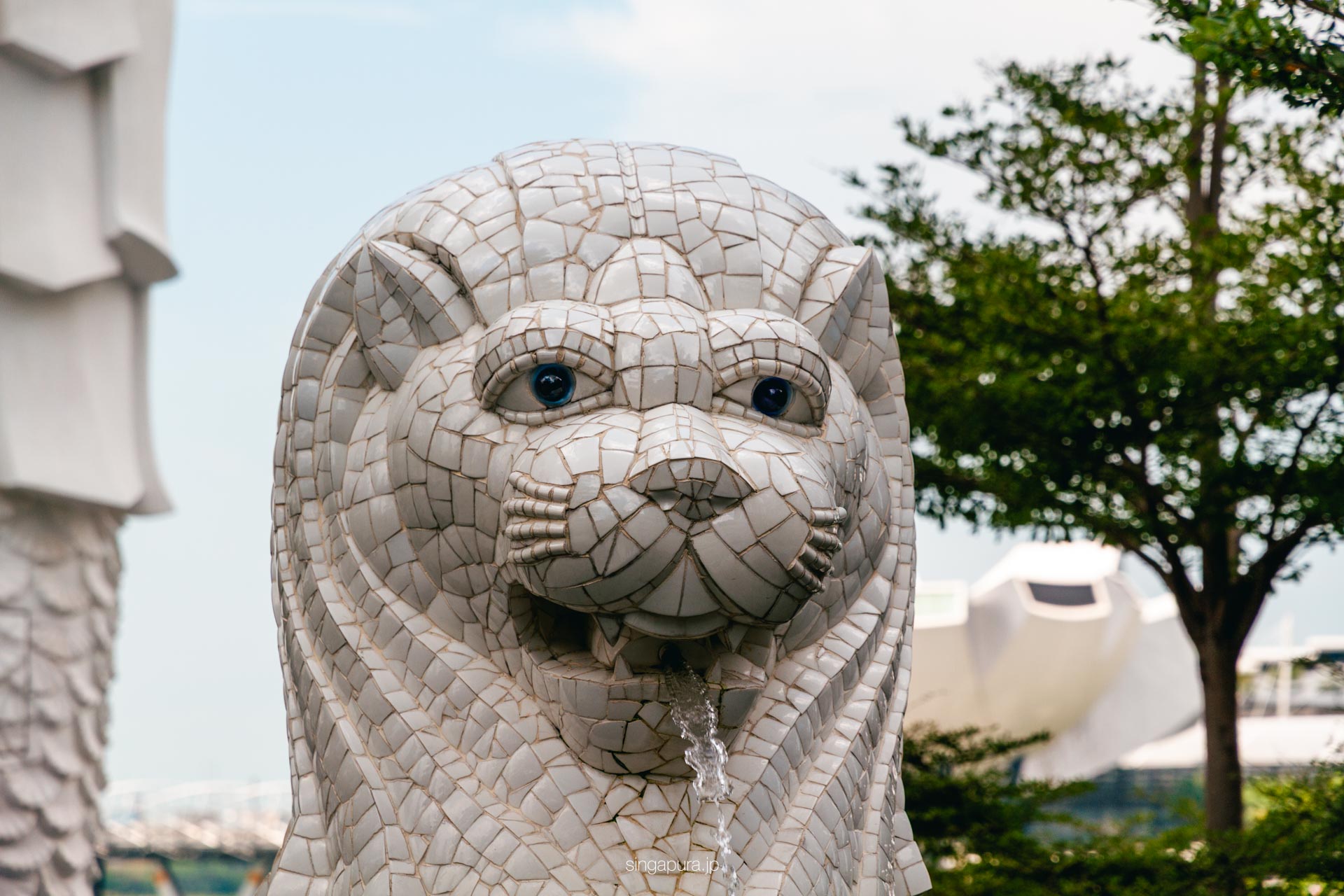 マーライオン・カブ（ミニマーライオン） Merlion Cub 画像3
