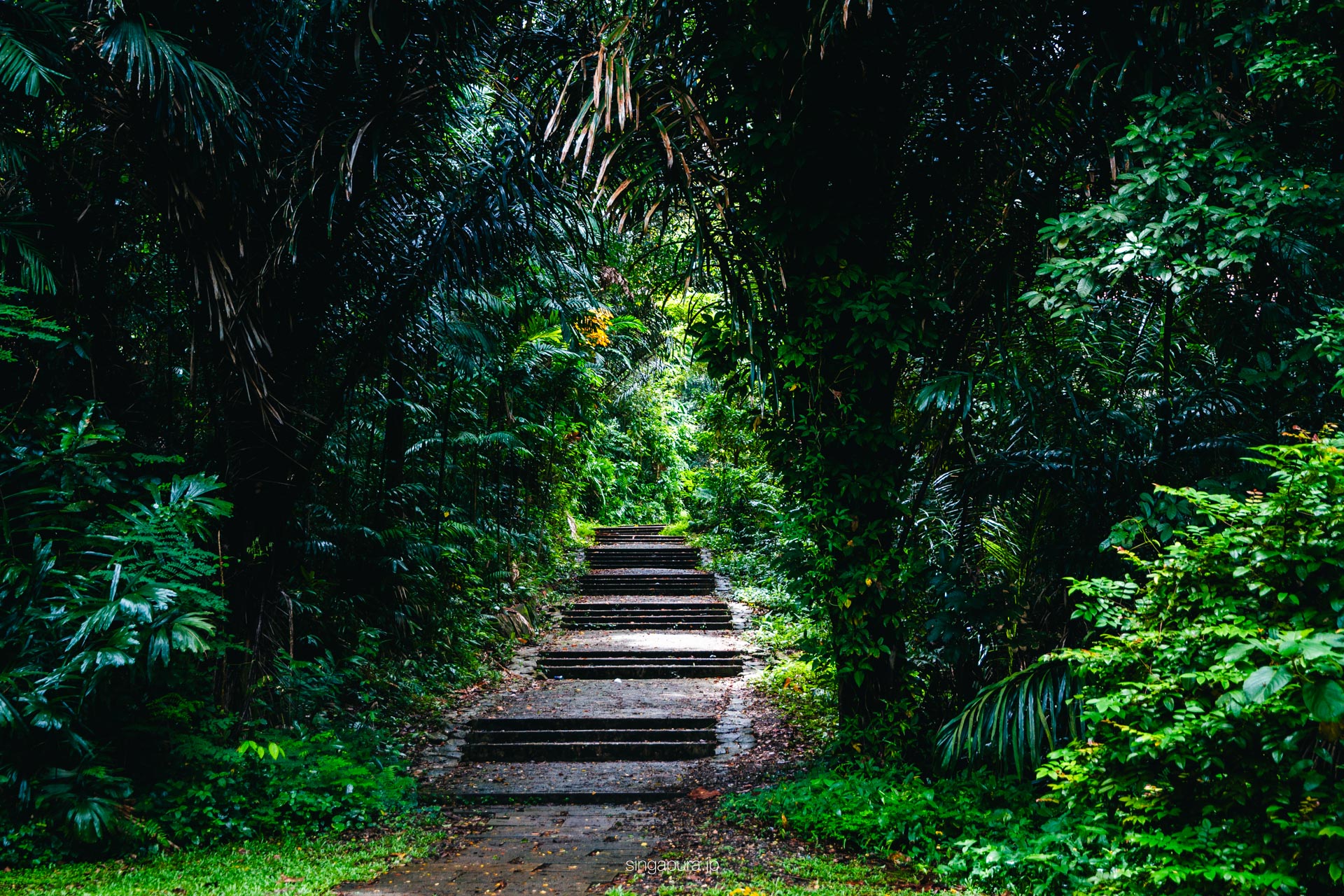 マウントフェーバー Mount Faber 画像1