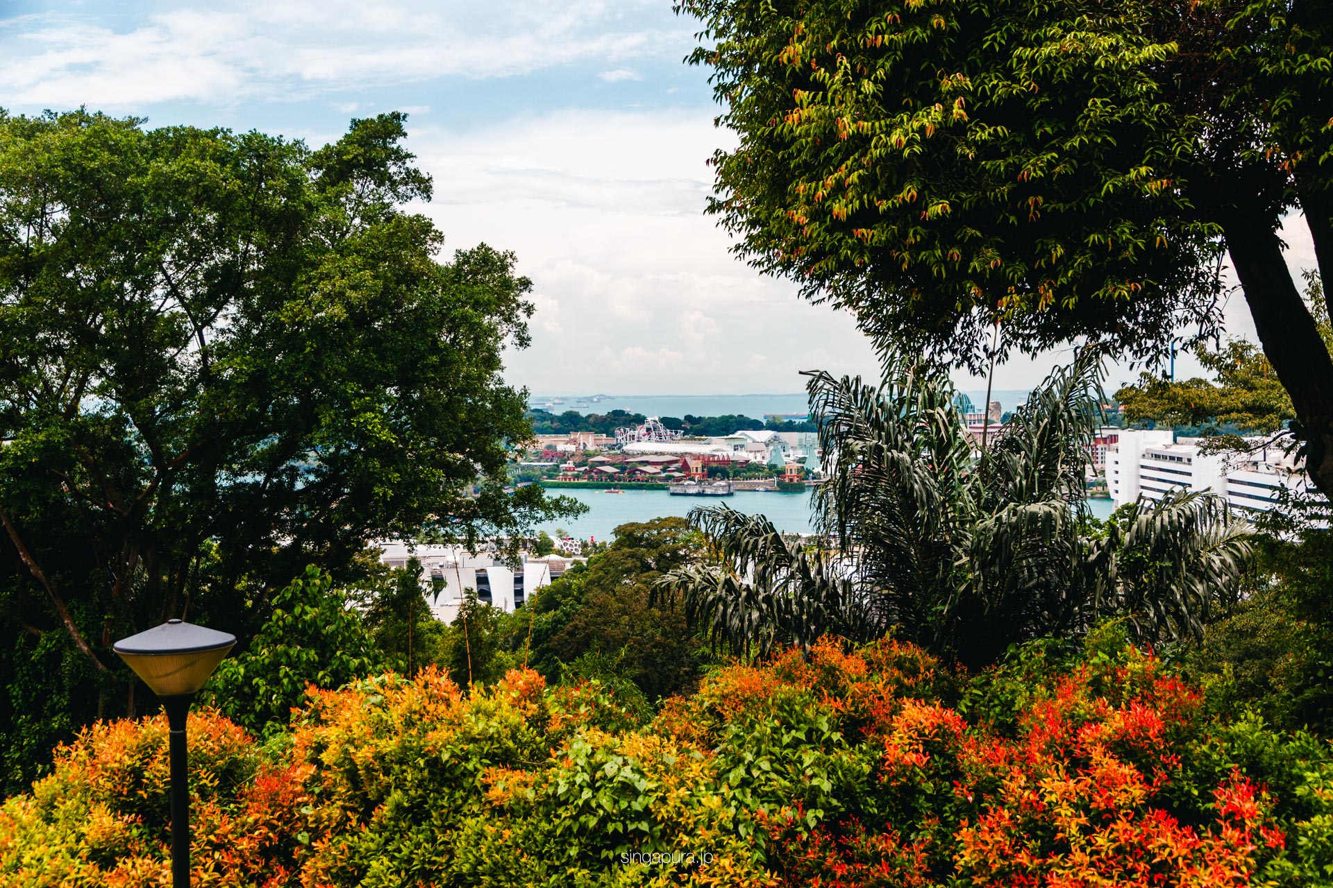 マウントフェーバー Mount Faber 画像4