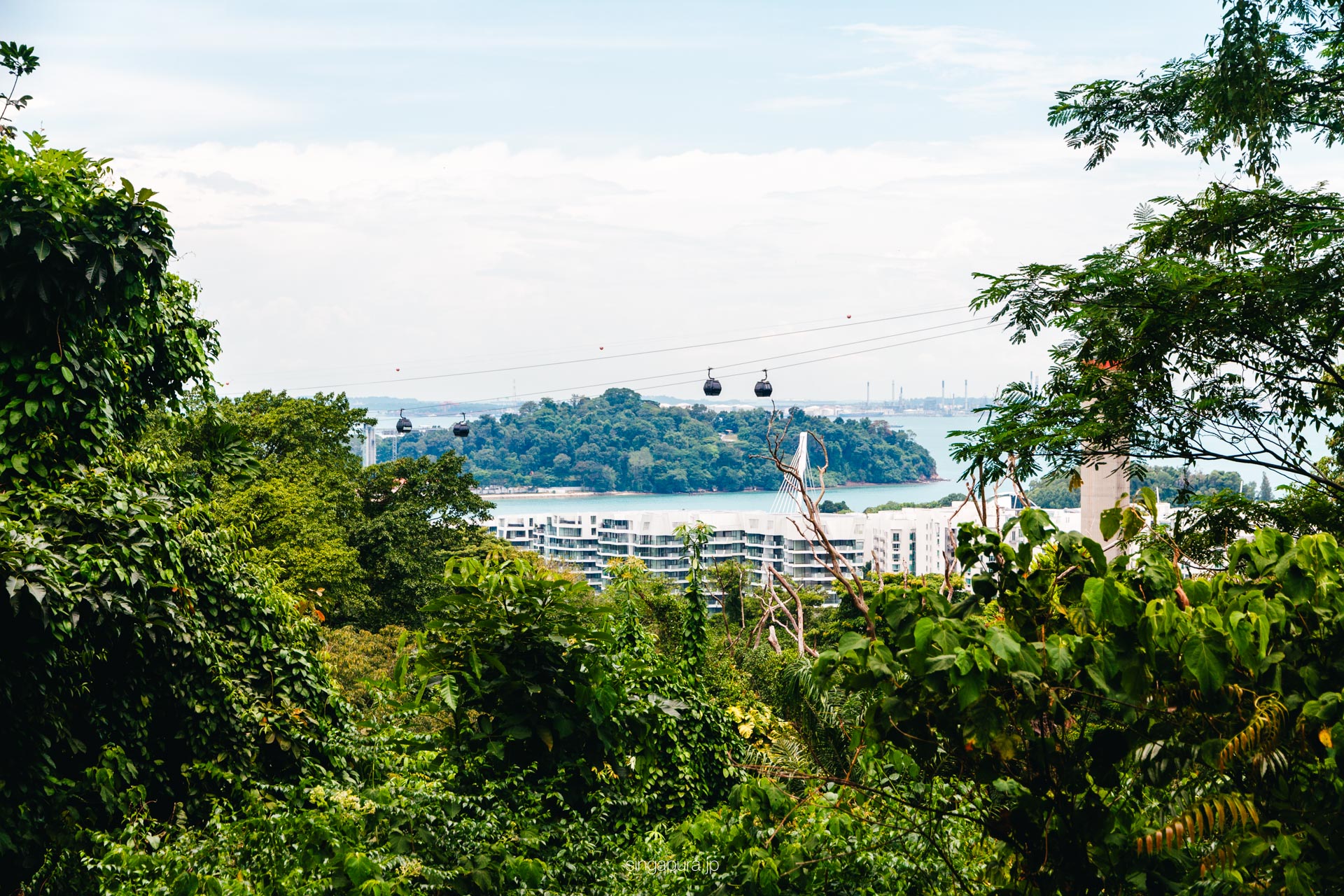 マウントフェーバー Mount Faber 画像7