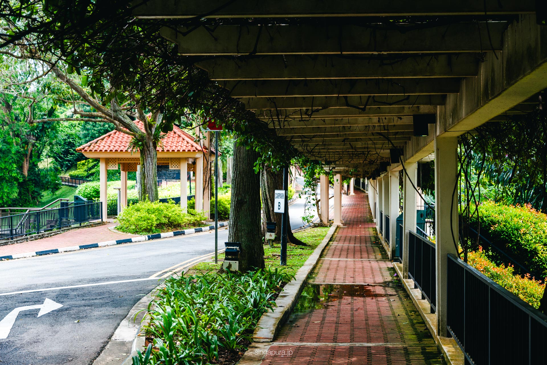 マウントフェーバー Mount Faber 画像9