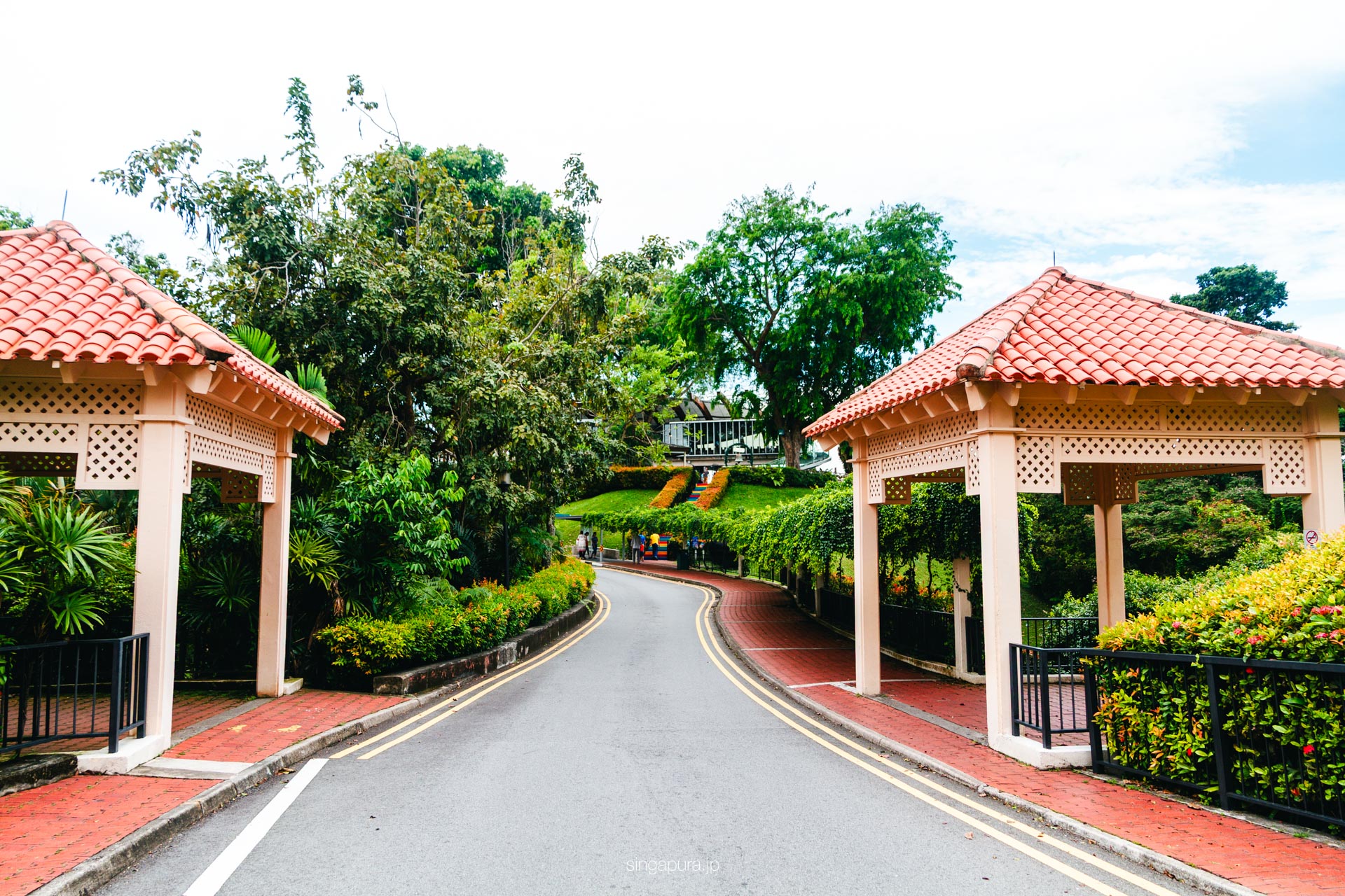 マウントフェーバー Mount Faber 画像10