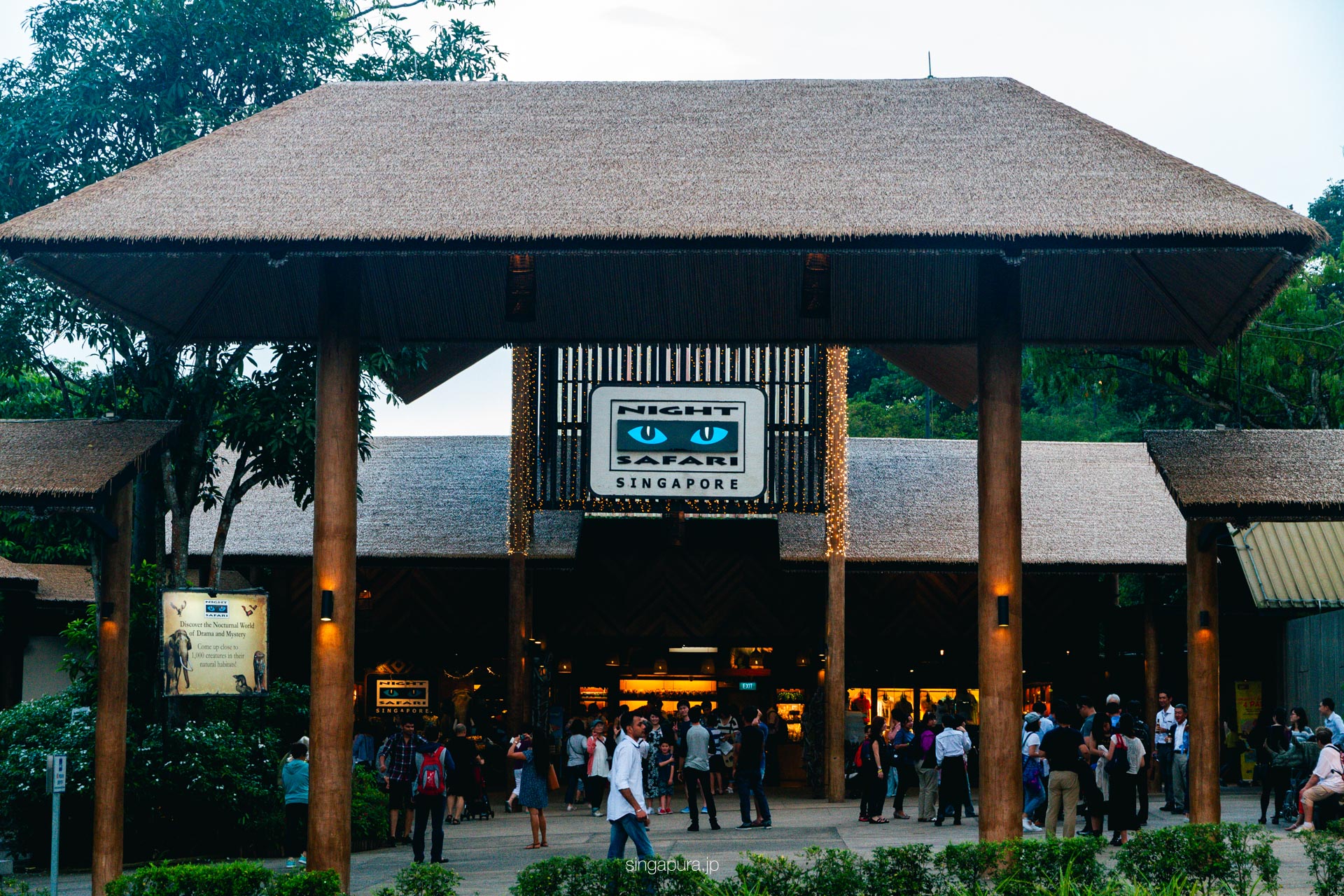 ナイトサファリ・シンガポール Night Safari 画像2