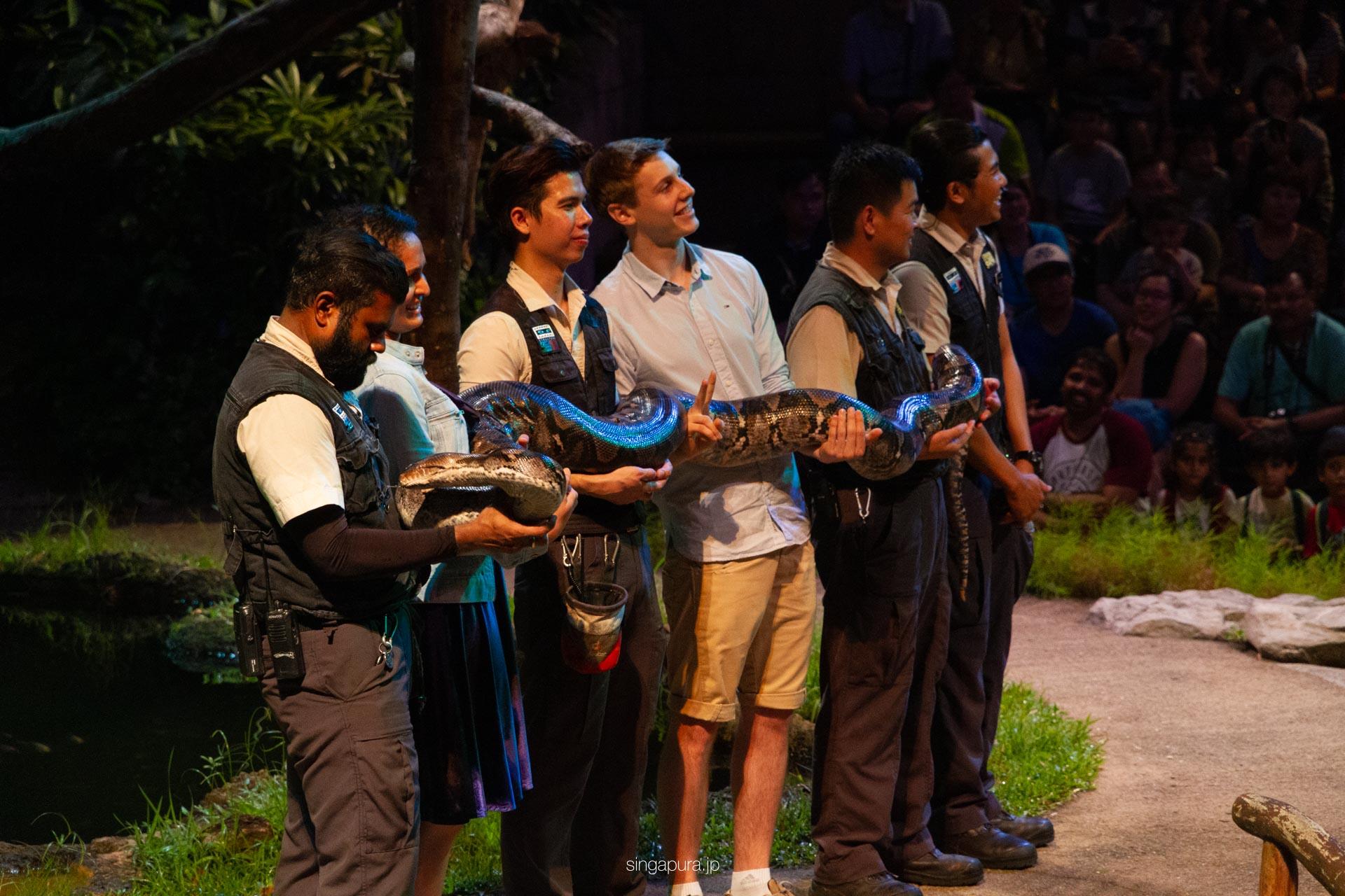 ナイトサファリ・シンガポール Night Safari 画像5