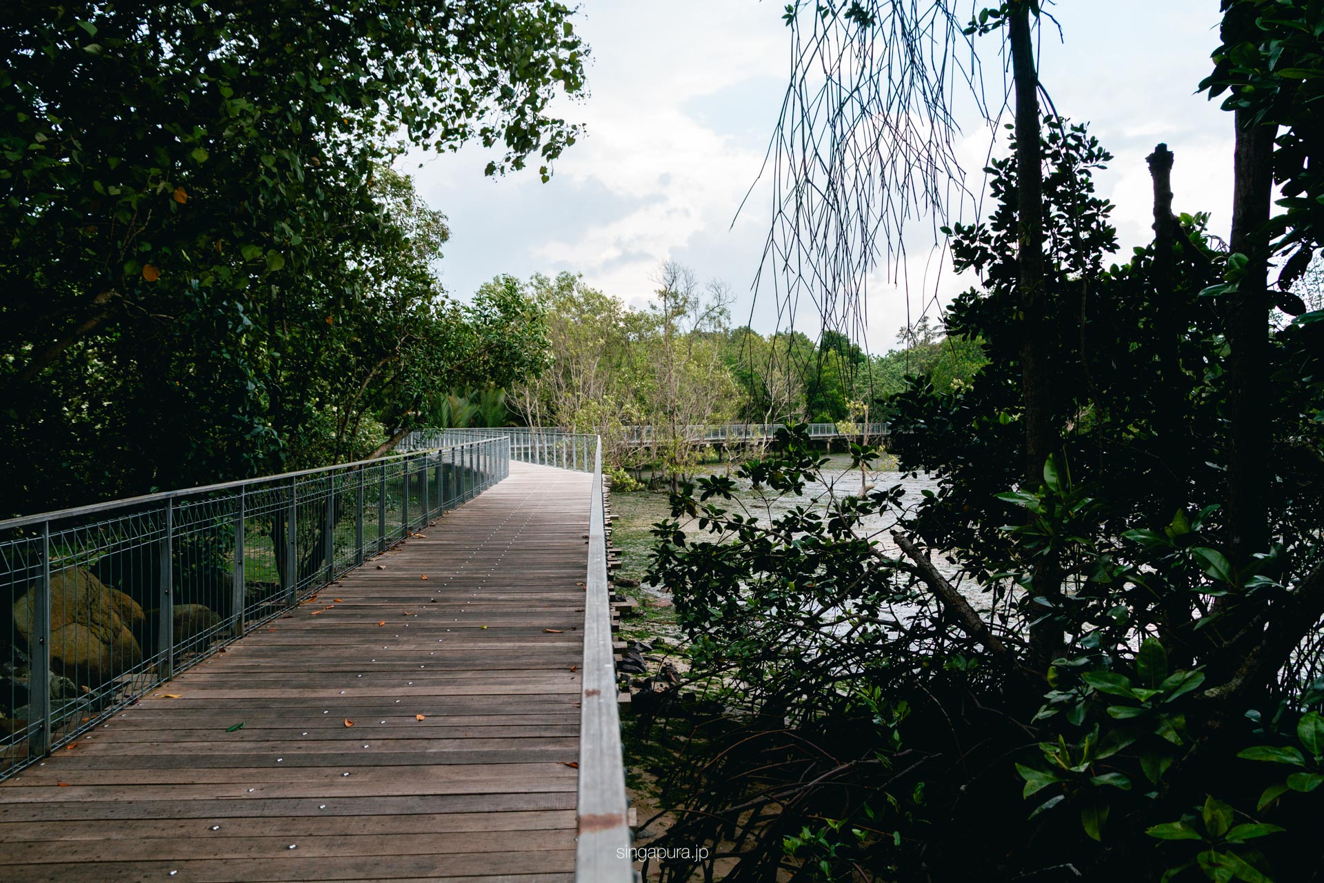 ウビン島 Pulau Ubin 画像1
