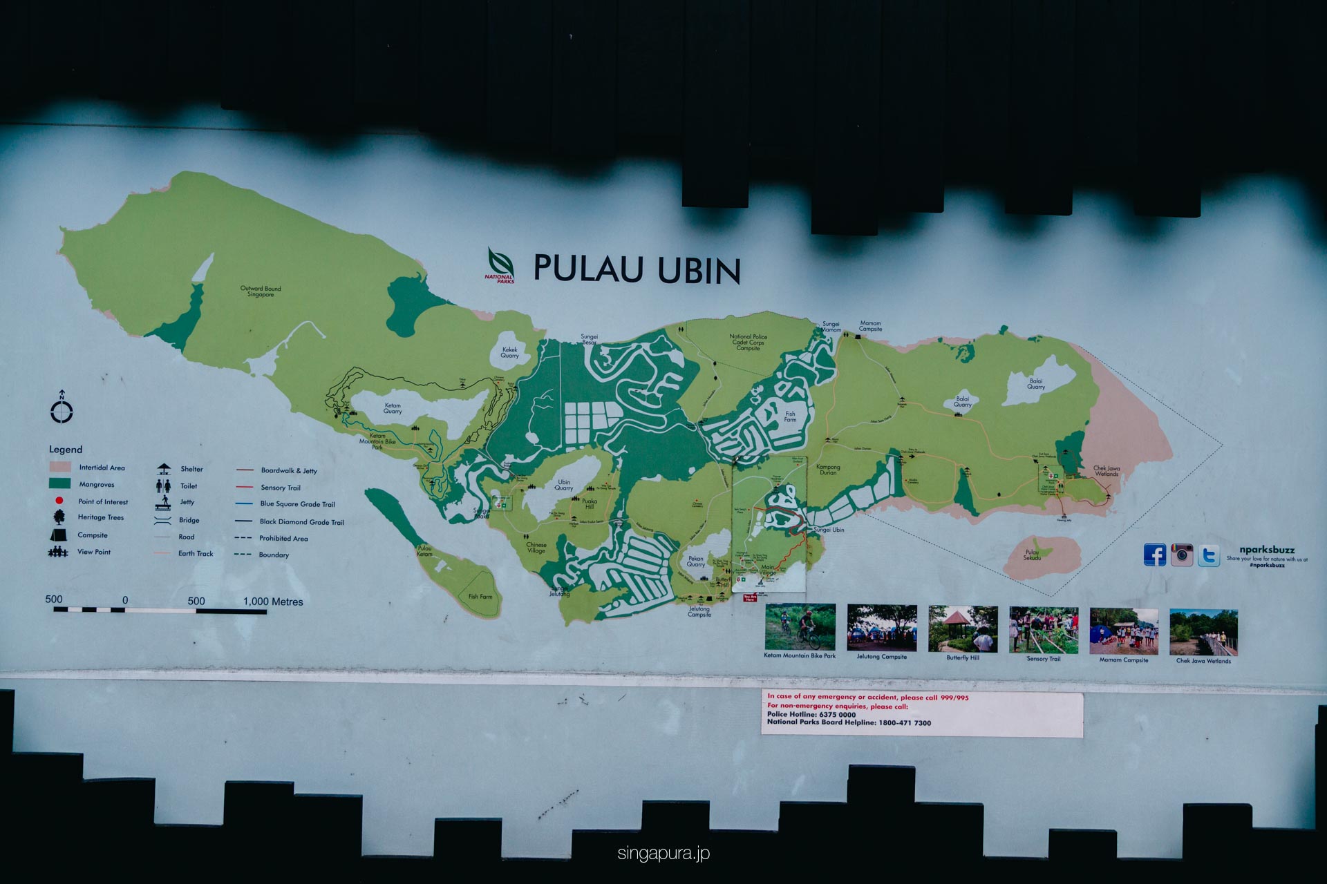 ウビン島 Pulau Ubin 画像4