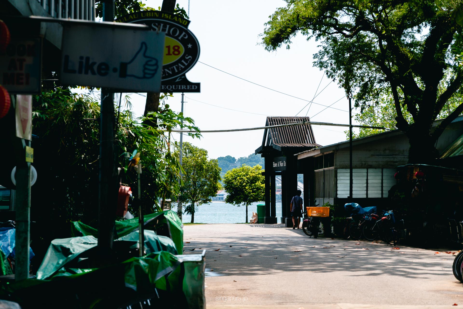 ウビン島 Pulau Ubin 画像5