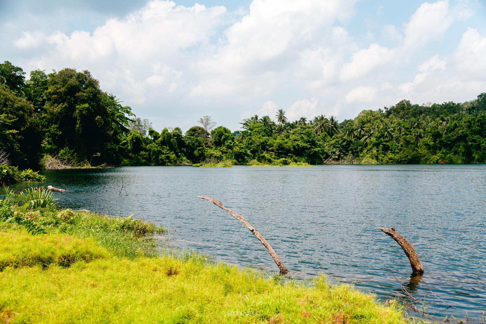 ウビン島 Pulau Ubin 画像7