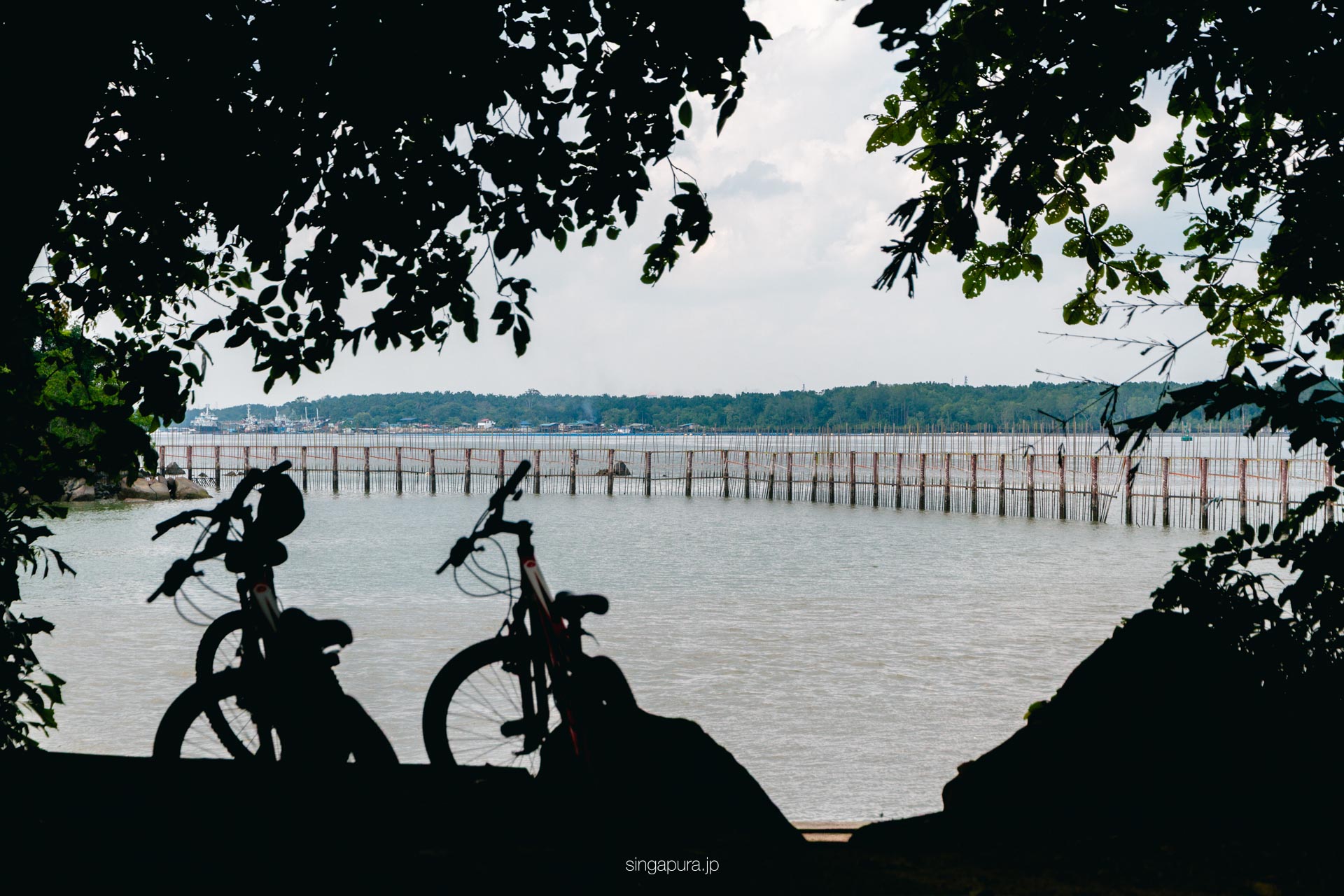 ウビン島 Pulau Ubin 画像9