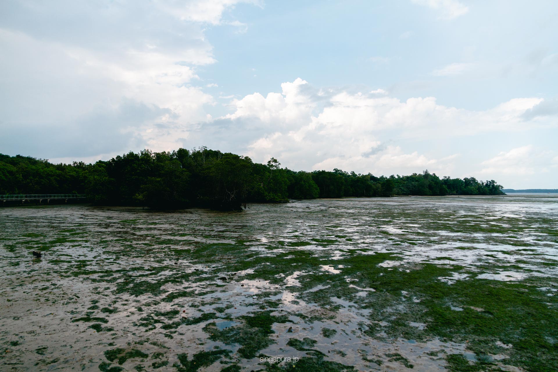 ウビン島 Pulau Ubin 画像20